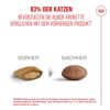 Katzentrockenfutter 'Ageing 11+ Sterilised' Senior 4 kg
