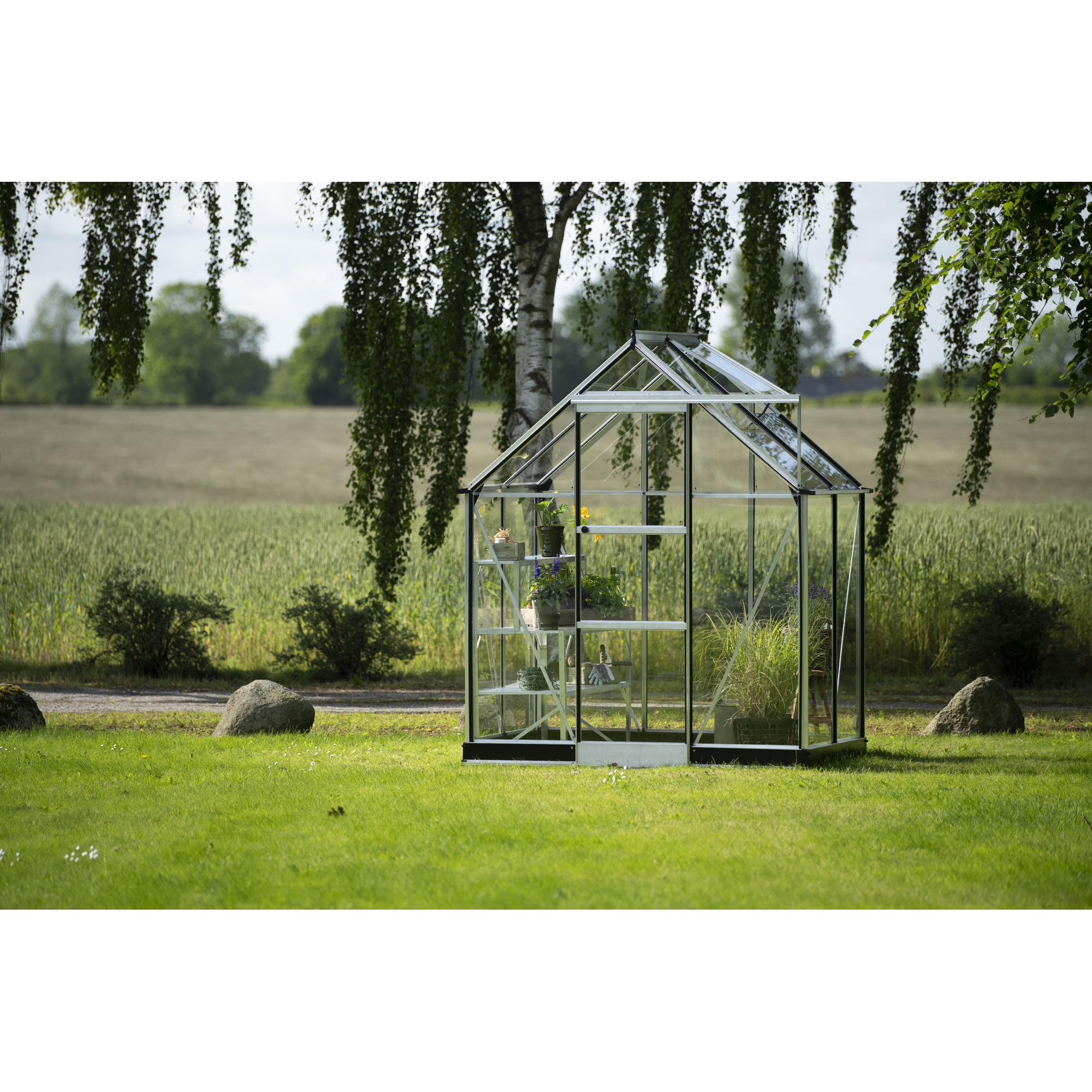 Gewächshaus 'ICON 6' 192,5 x 130,3 cm mit 3 mm Sicherheitsglas aluminiumfarben