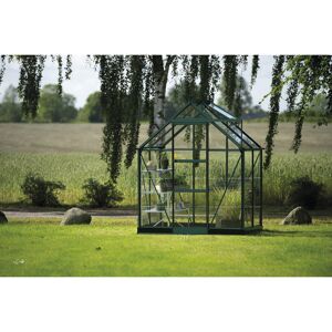 Gewächshaus 'ICON 6' 192,5 x 130,3 cm mit 3 mm Blankglas grün
