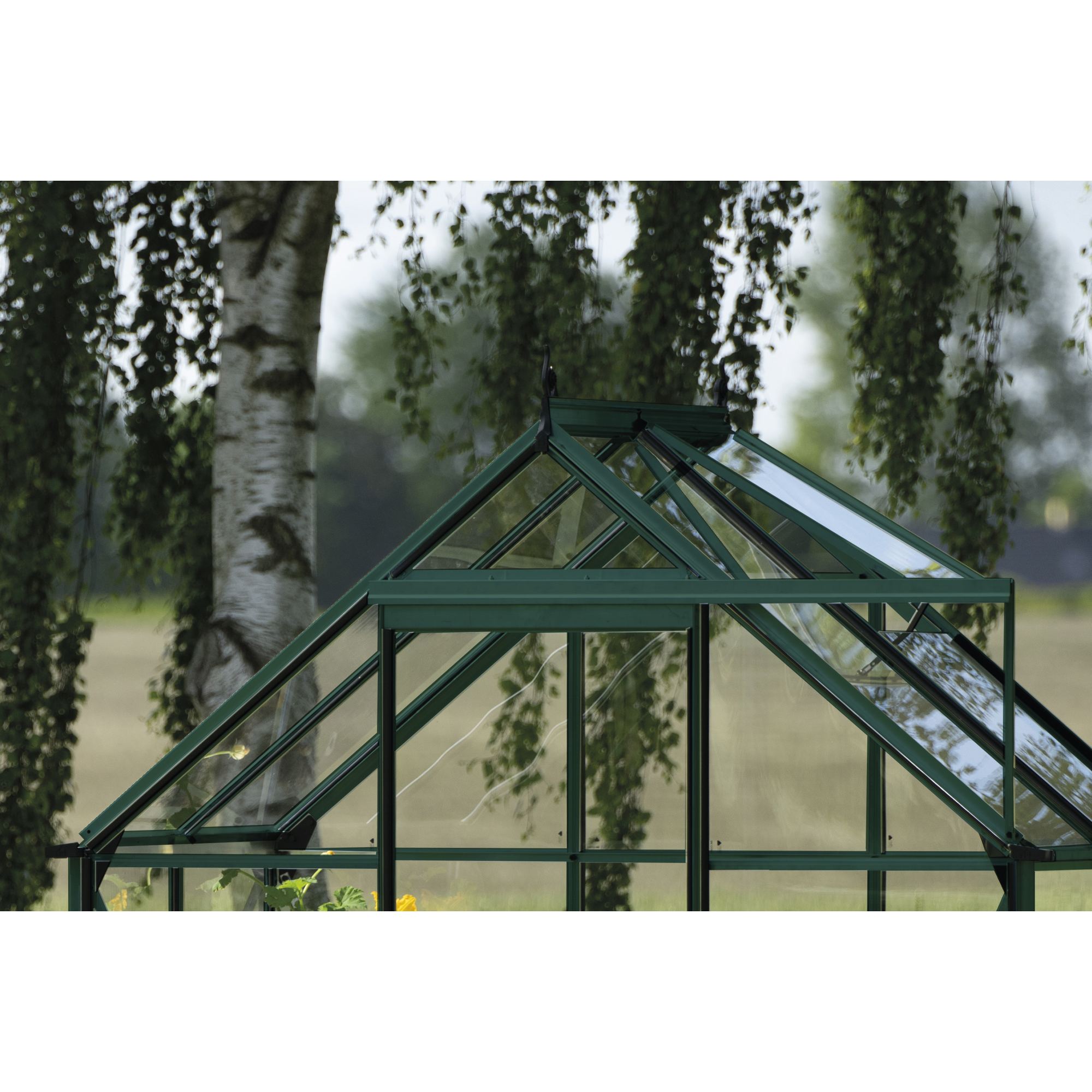 Gewächshaus 'ICON 6' 192,5 x 130,3 cm mit 3 mm Sicherheitsglas grün