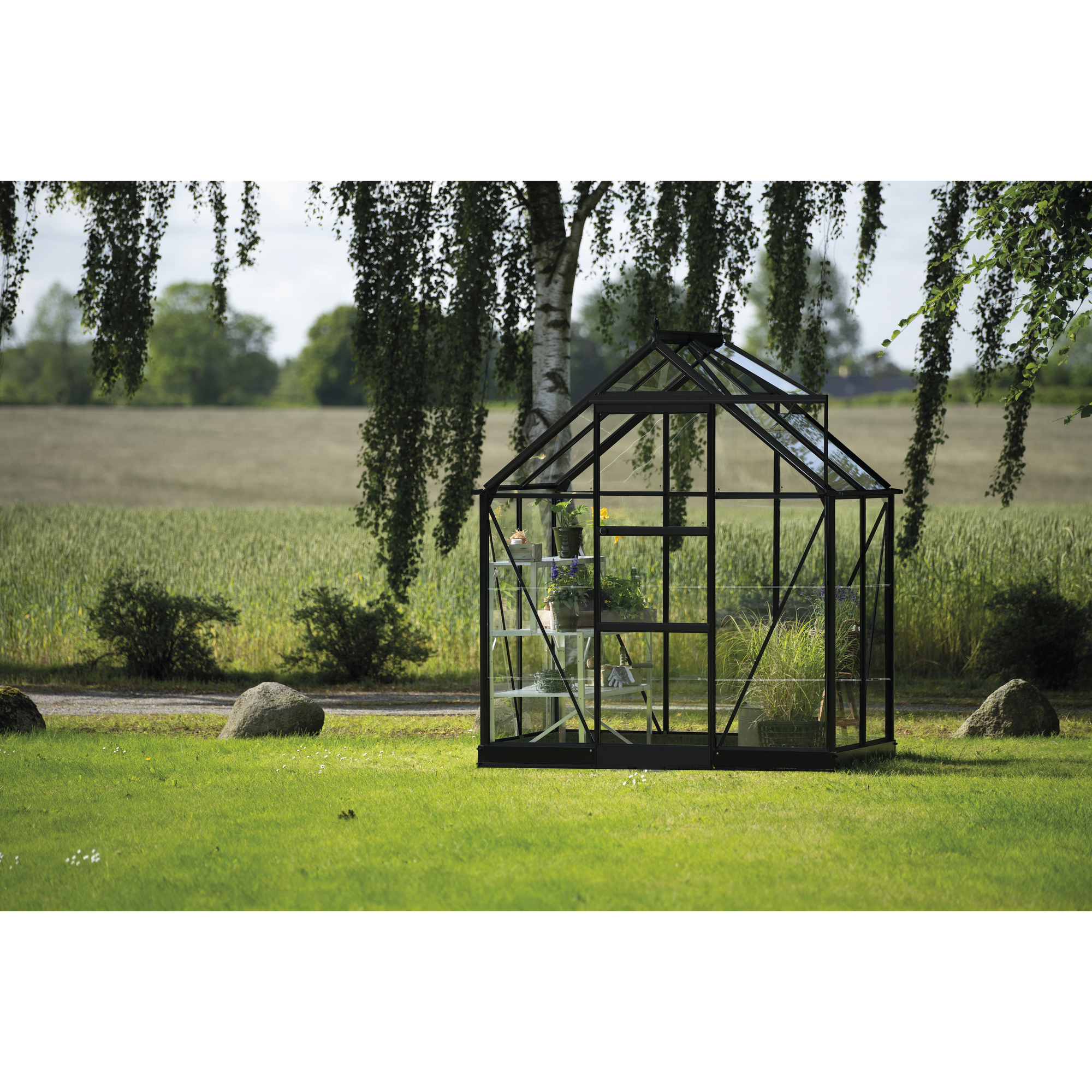 Gewächshaus 'ICON 6' 192,5 x 130,3 cm mit 3 mm Blankglas schwarz