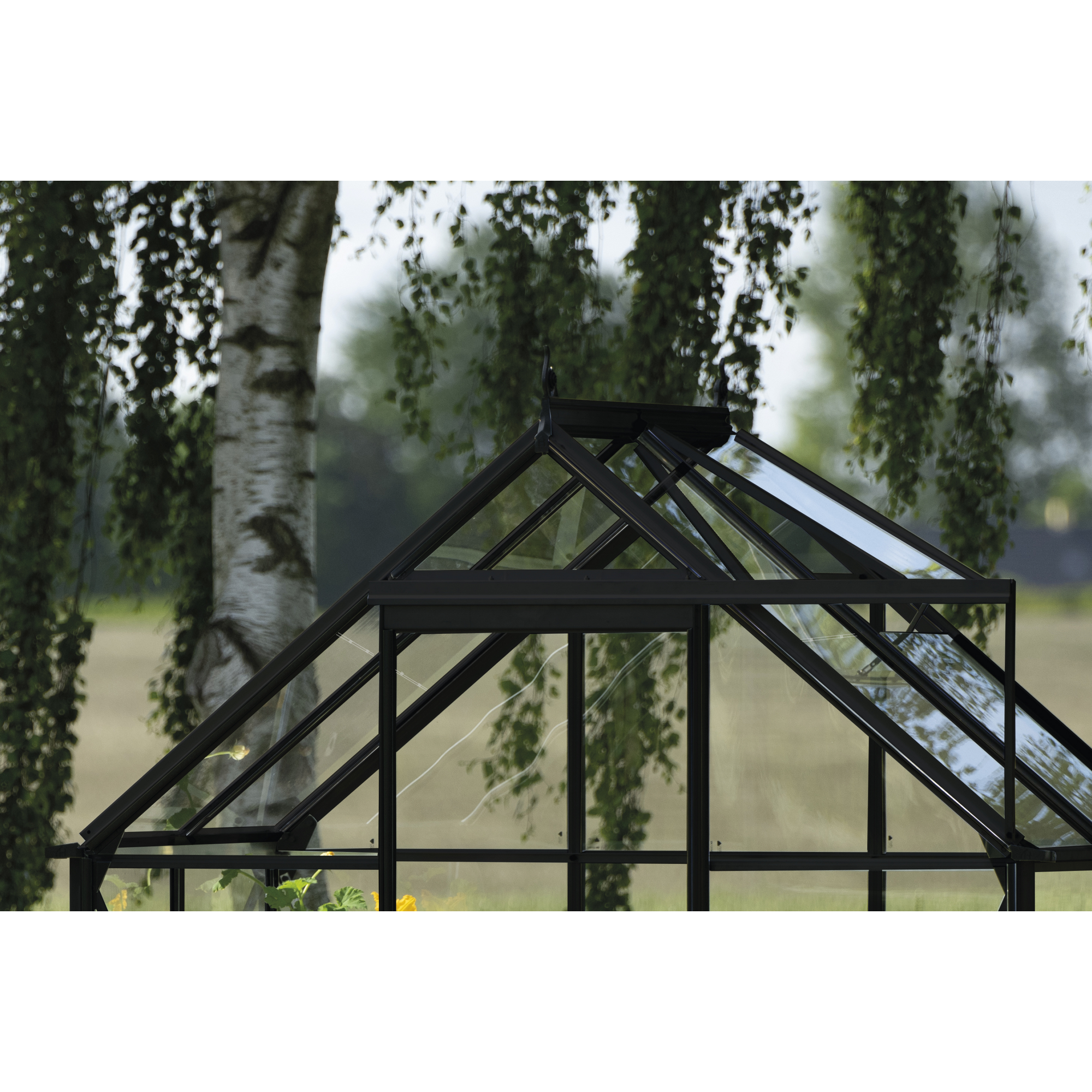 Gewächshaus 'ICON 6' 192,5 x 130,3 cm mit 3 mm Blankglas schwarz