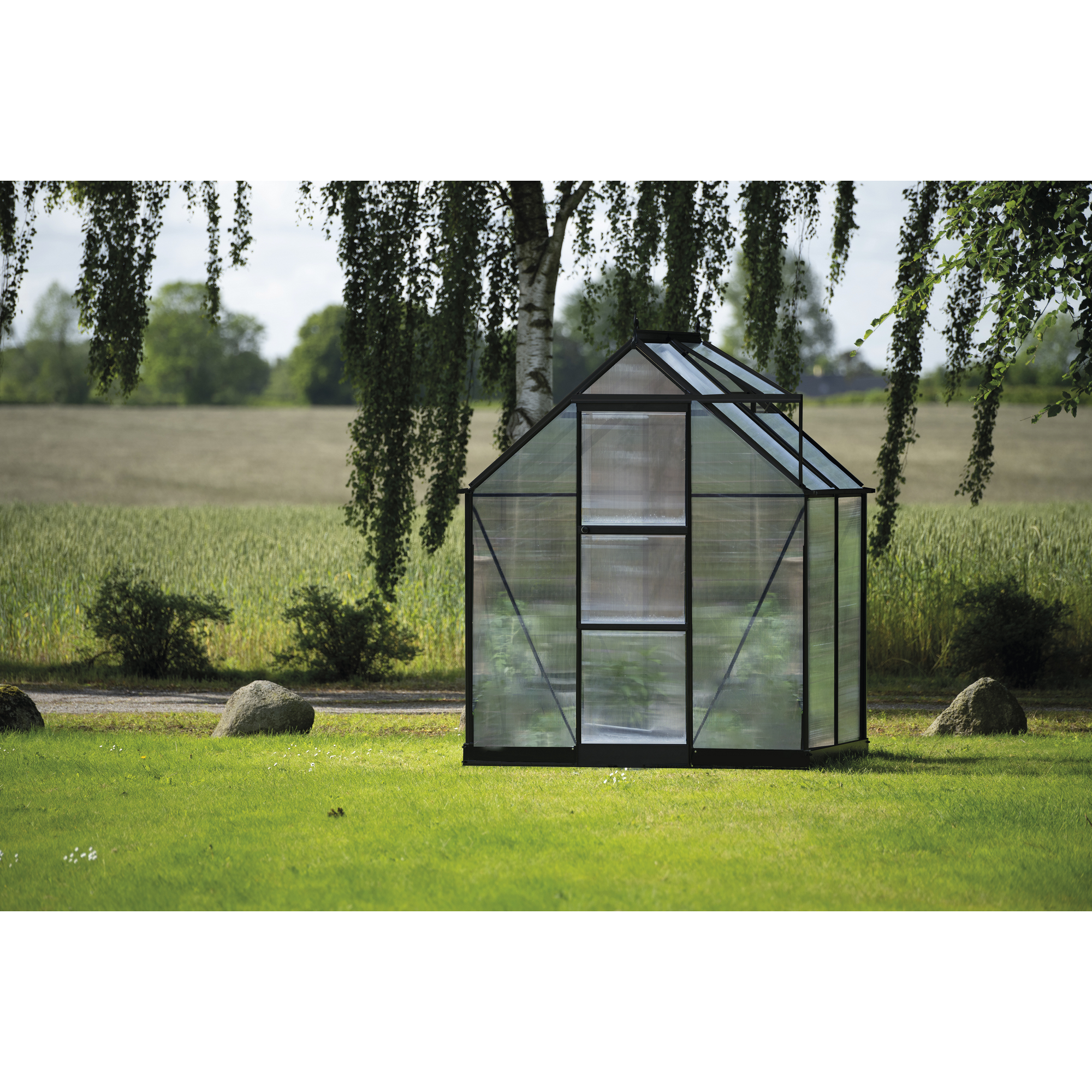 Gewächshaus 'ICON 6' 192,5 x 130,3 cm mit 4 mm Doppelstegplatten schwarz