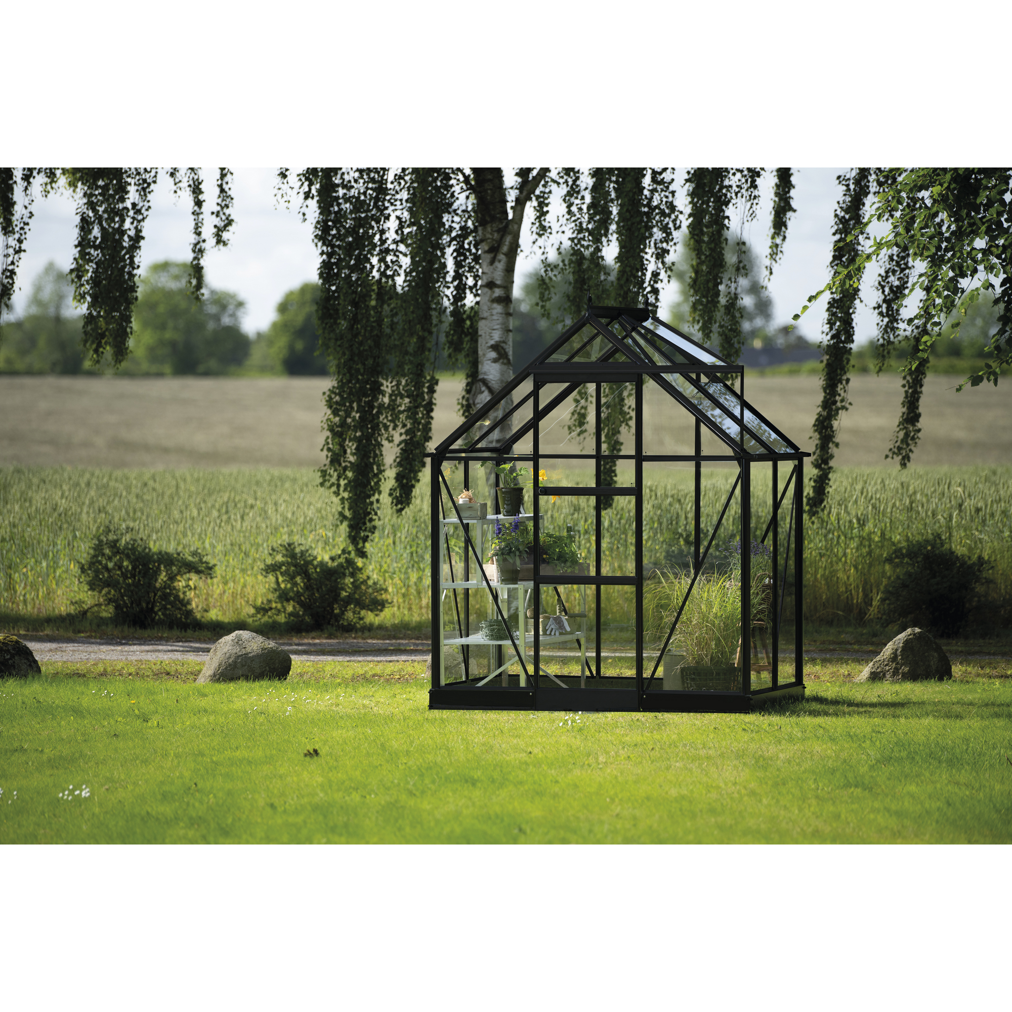 Gewächshaus 'ICON 6' 192,5 x 130,3 cm mit 3 mm Sicherheitsglas schwarz