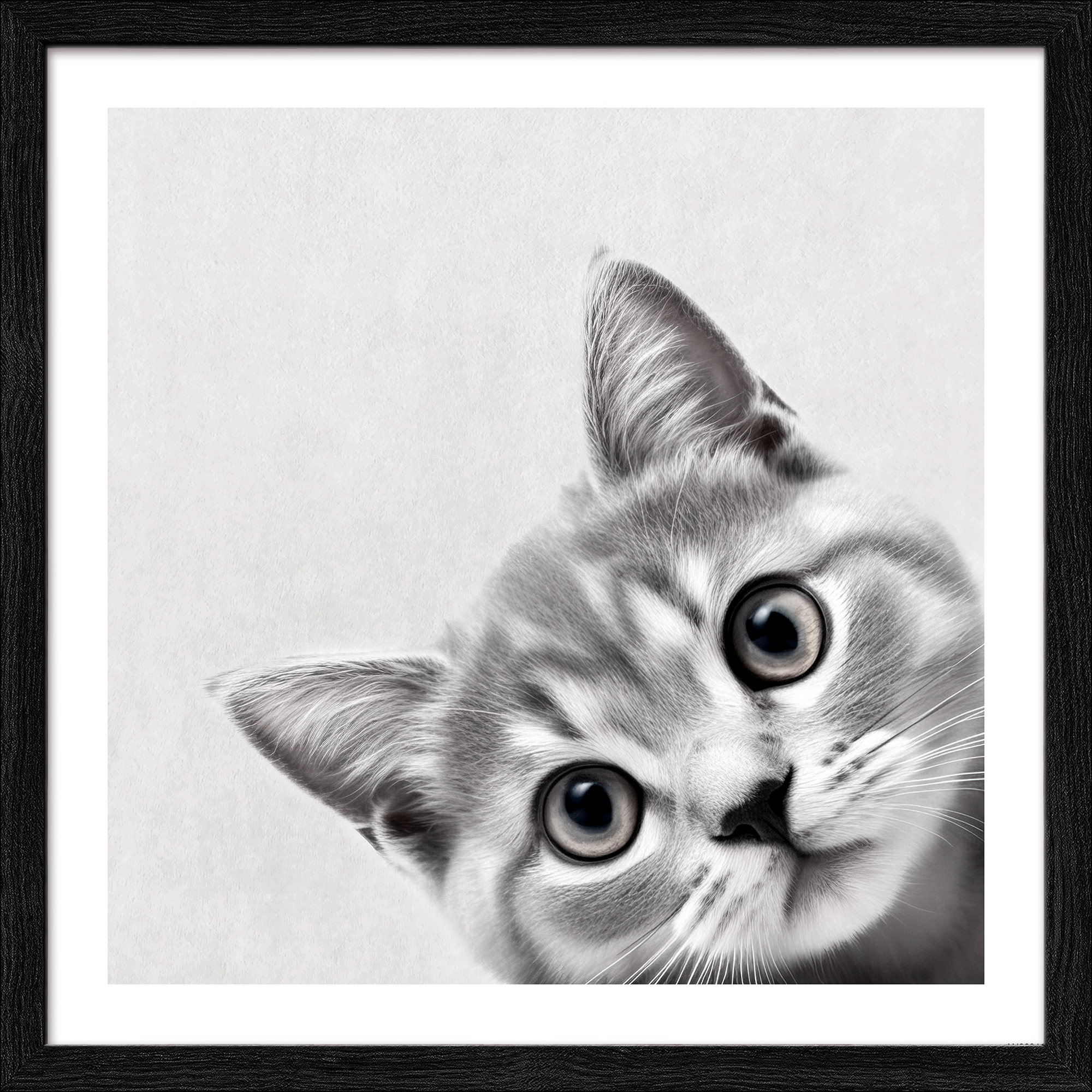 Kunstdruck Framed-Art Slim Scandic 'Funny Cat II' 33 x 33 cm gerahmt