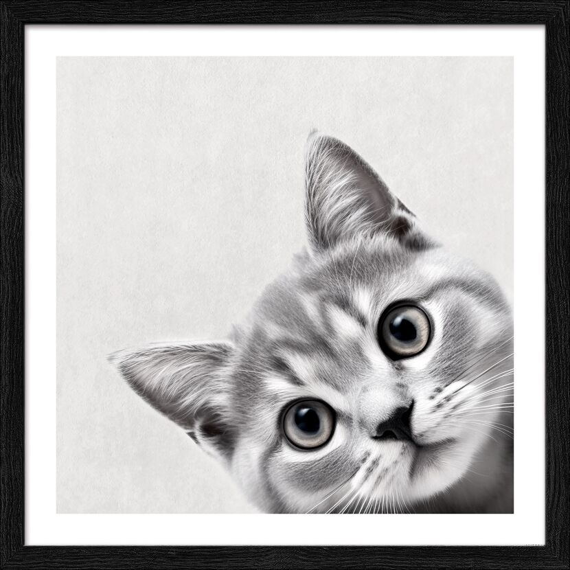 Kunstdruck Framed-Art Slim Scandic 'Funny Cat II' 33 x 33 cm gerahmt