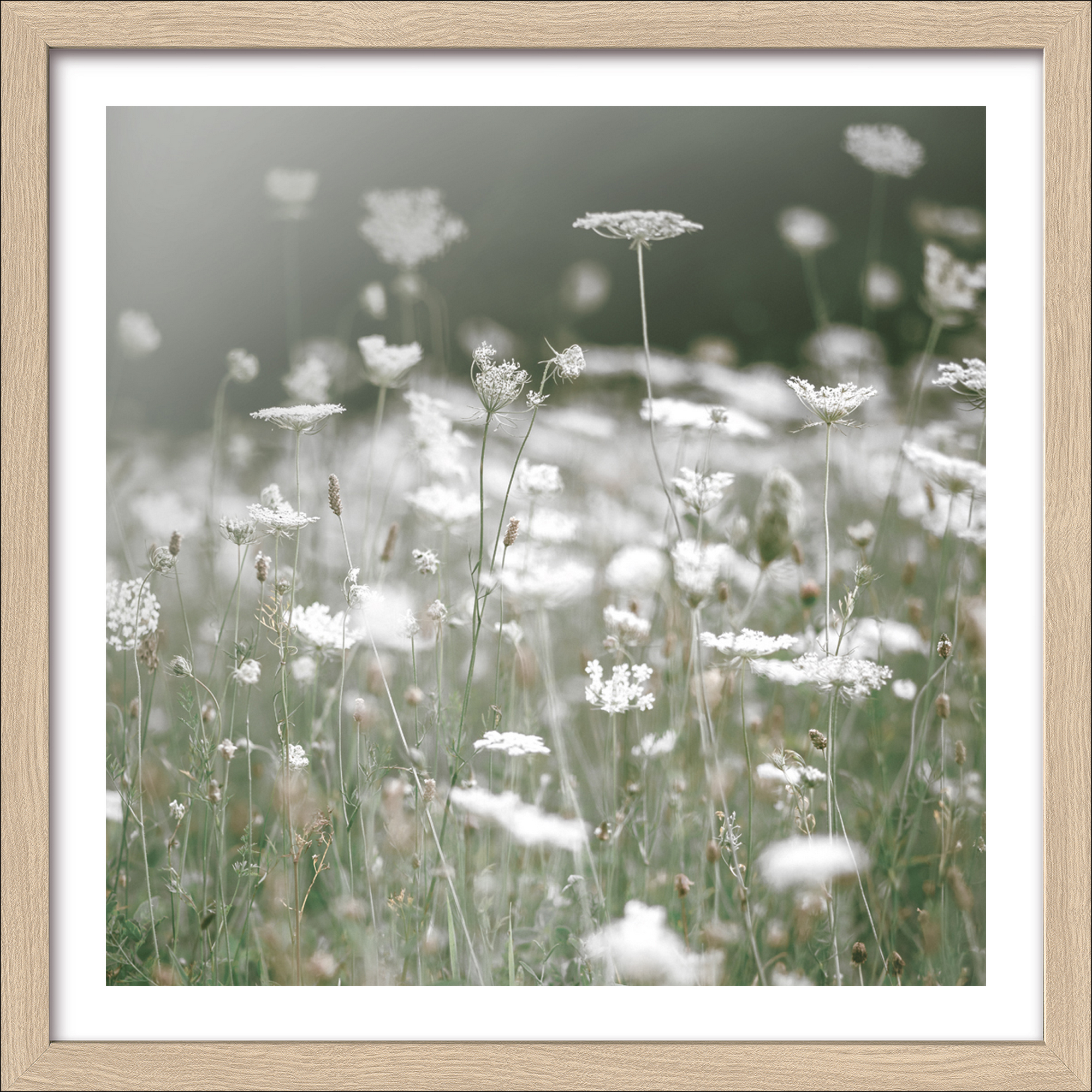 Kunstdruck Framed-Art Slim Scandic 'Flowers III' 33 x 33 cm gerahmt