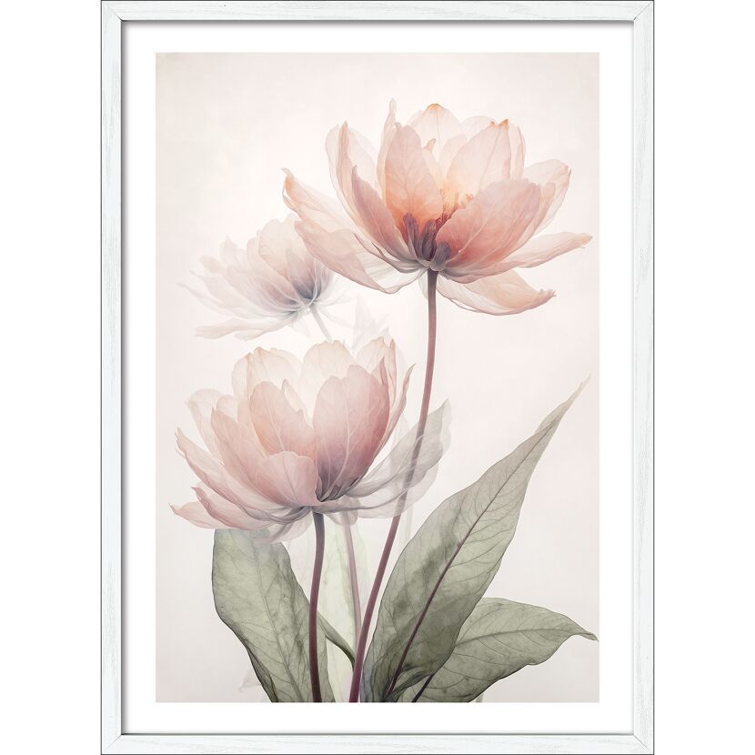 Kunstdruck Framed-Art Scandic Style 'Flowers X' 53 x 73 cm gerahmt