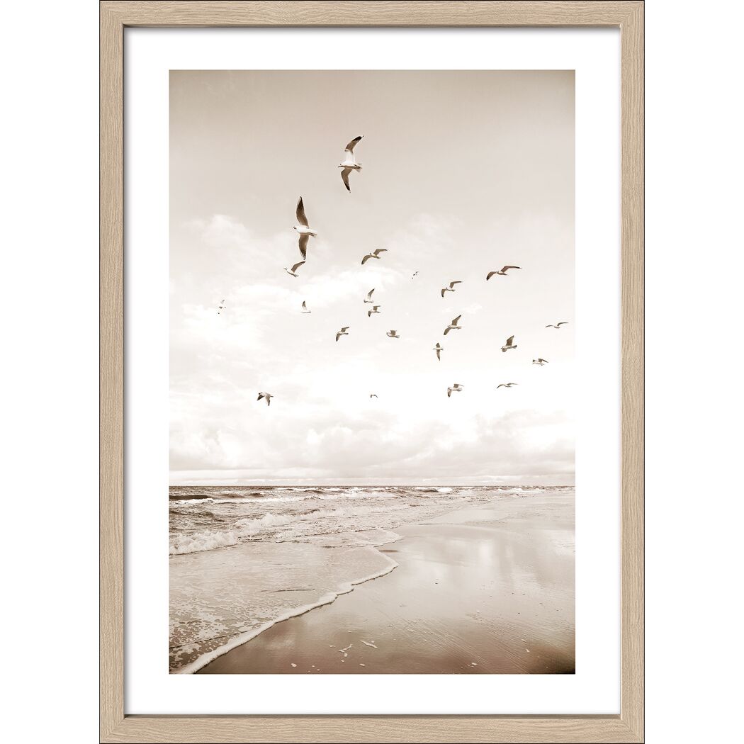 Kunstdruck Framed-Art Scandic Style 'Seagulls II' 53 x 73 cm gerahmt