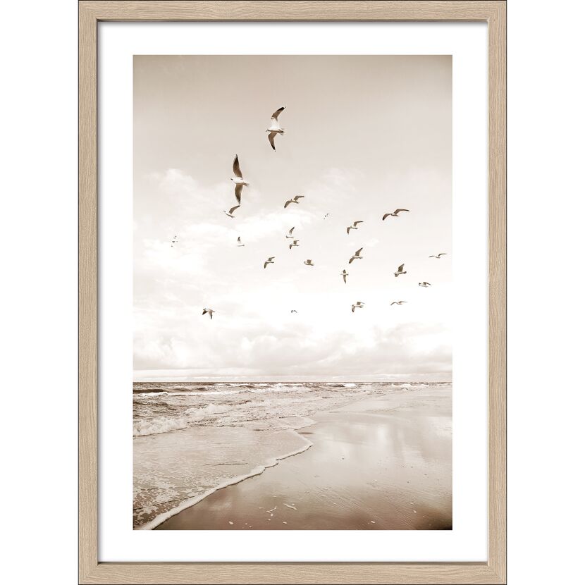 Kunstdruck Framed-Art Scandic Style 'Seagulls II' 53 x 73 cm gerahmt