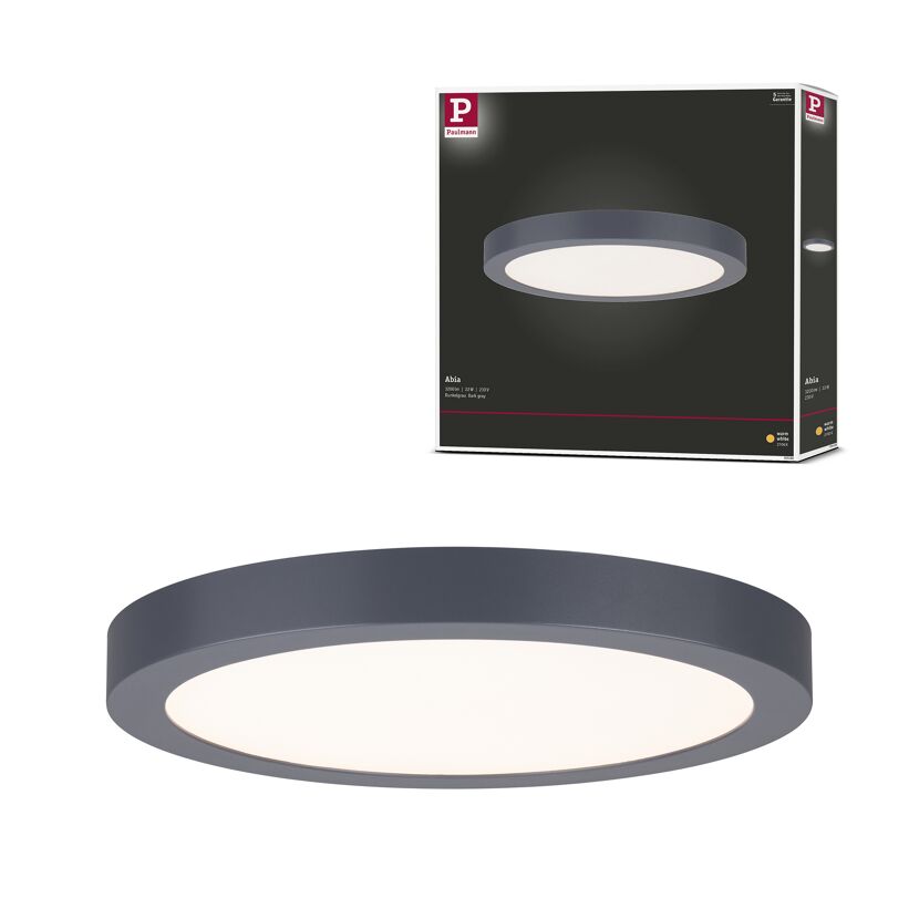 LED-Panel 'Abia' dunkelgrau 22 W Ø 30 x 3 cm