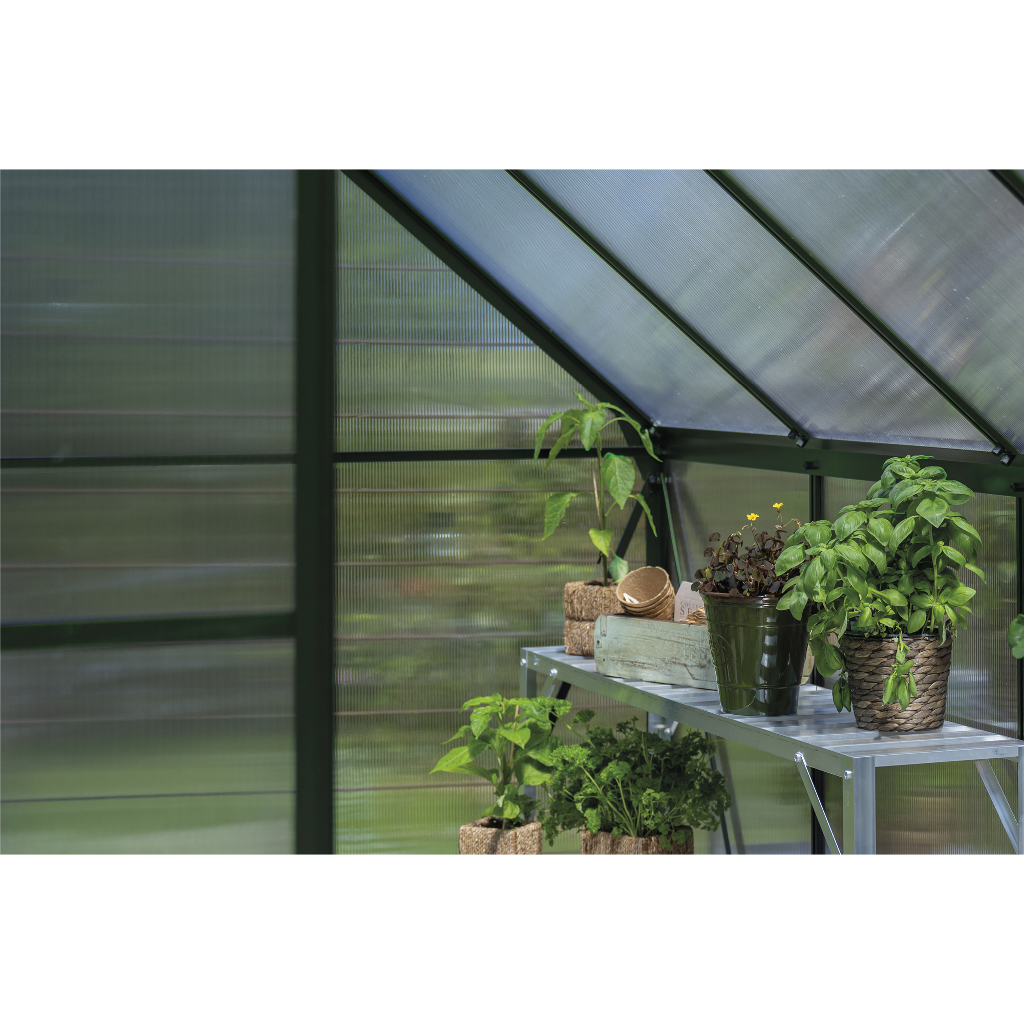 Gewächshaus 'ICON 6' 192,5 x 192,5 cm mit 4 mm Doppelstegplatten grün
