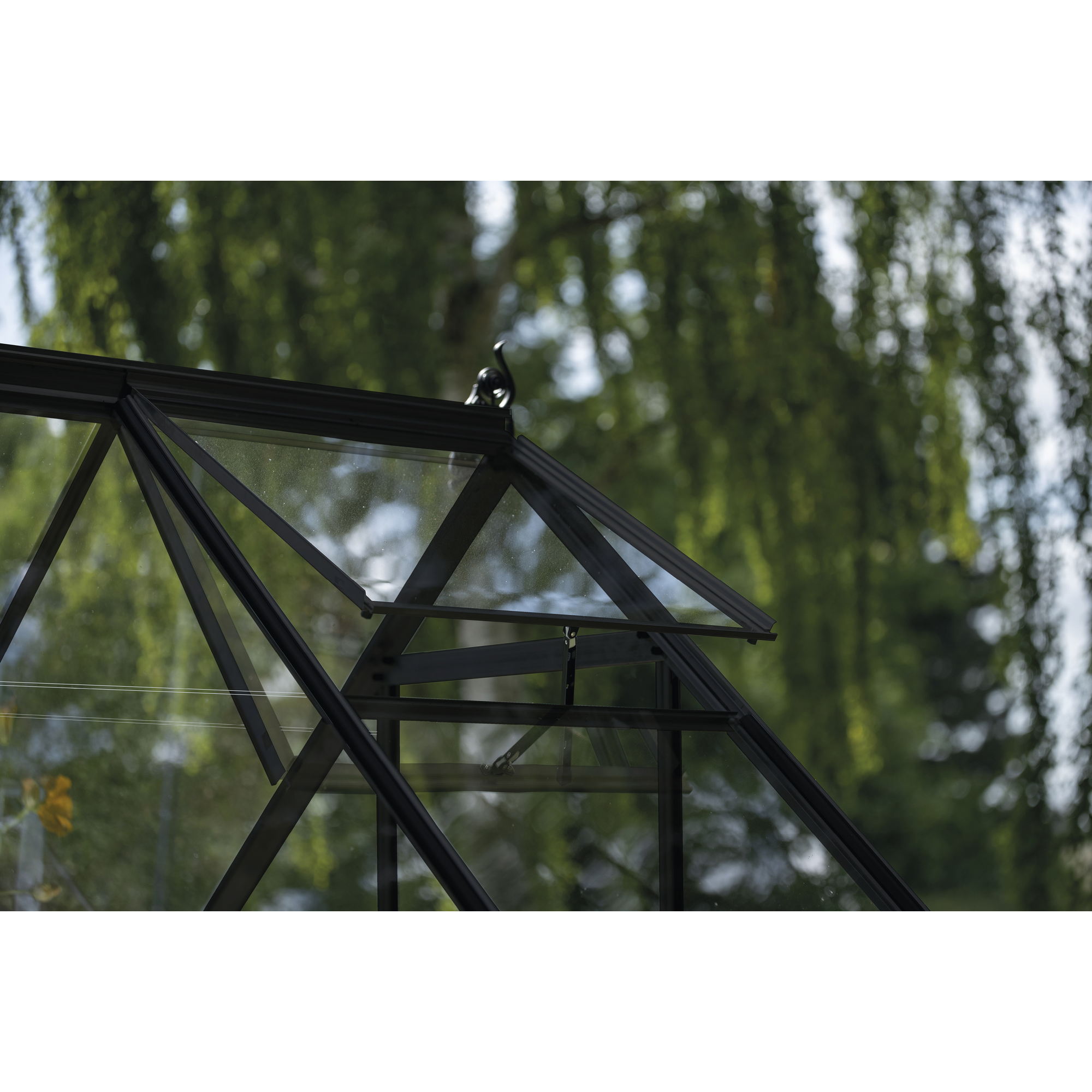 Gewächshaus 'ICON 6' 192,5 x 192,5 cm mit 3 mm Blankglas schwarz