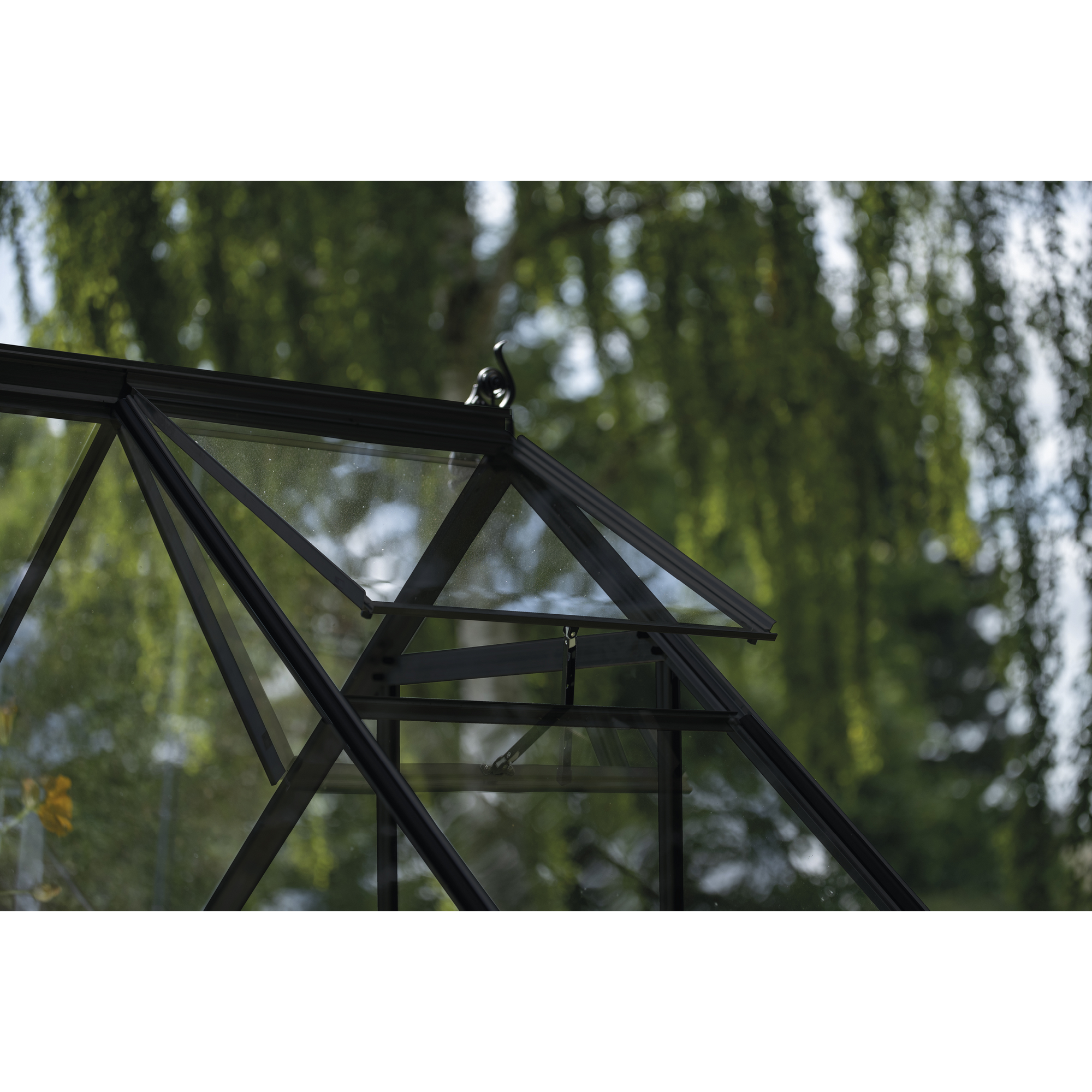 Gewächshaus 'ICON 6' 192,5 x 192,5 cm mit 3 mm Sicherheitsglas schwarz