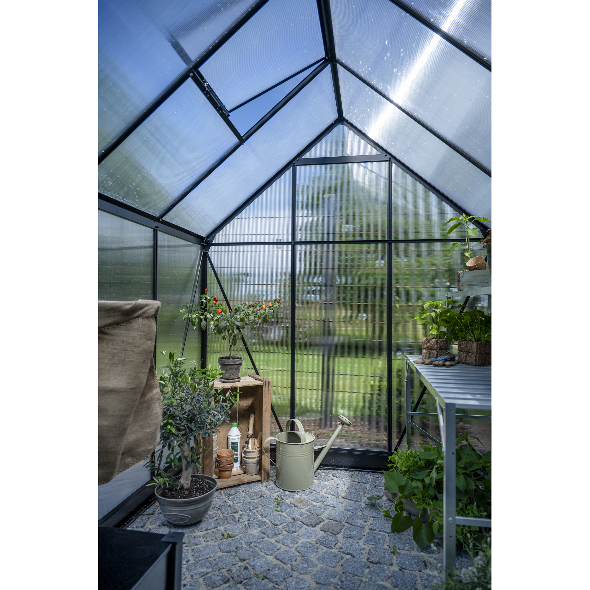 Gewächshaus 'ICON 6' 192,5 x 254,7 cm mit 4 mm Doppelstegplatten schwarz
