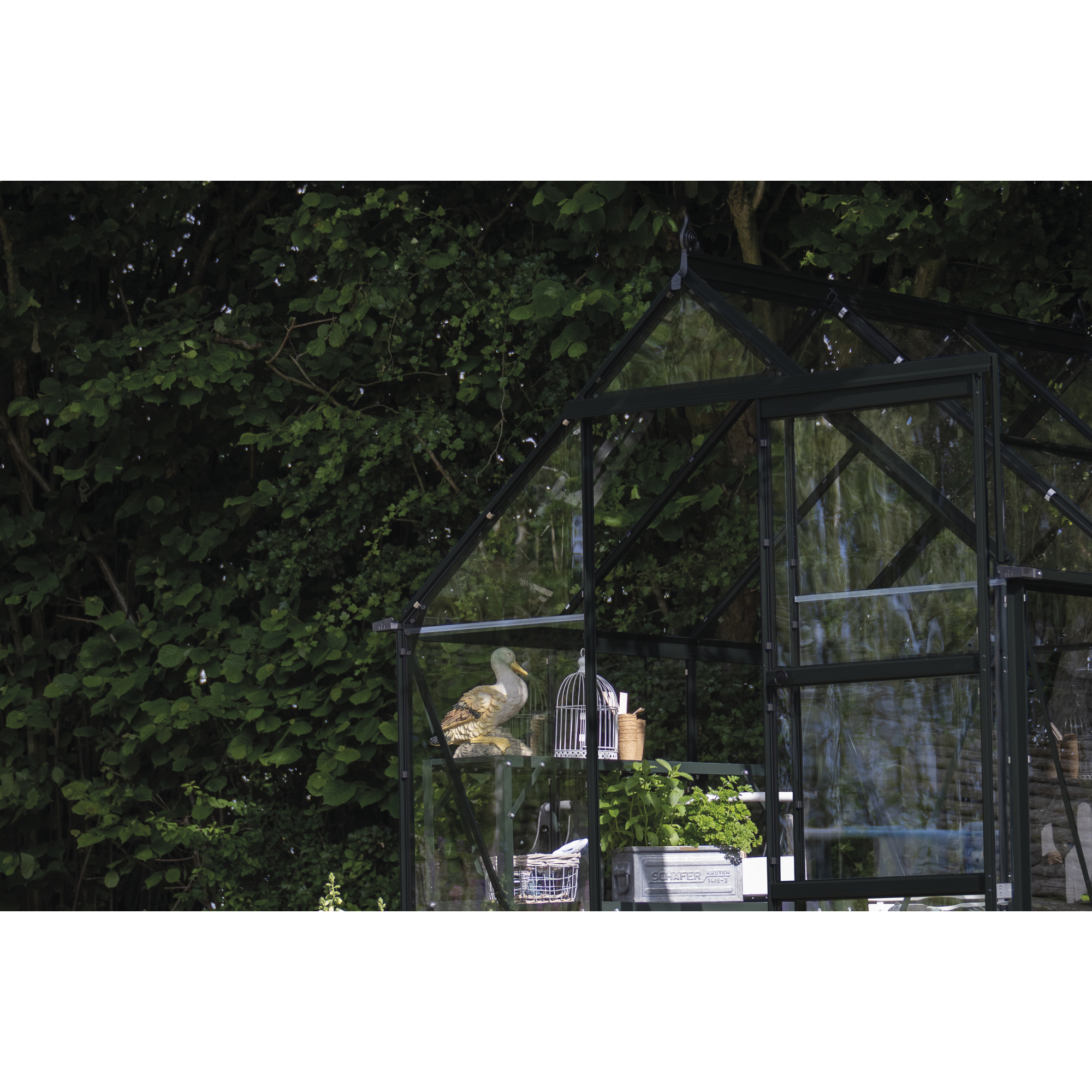 Gewächshaus 'ICON 6' 192,5 x 254,7 cm mit 3 mm Sicherheitsglas schwarz