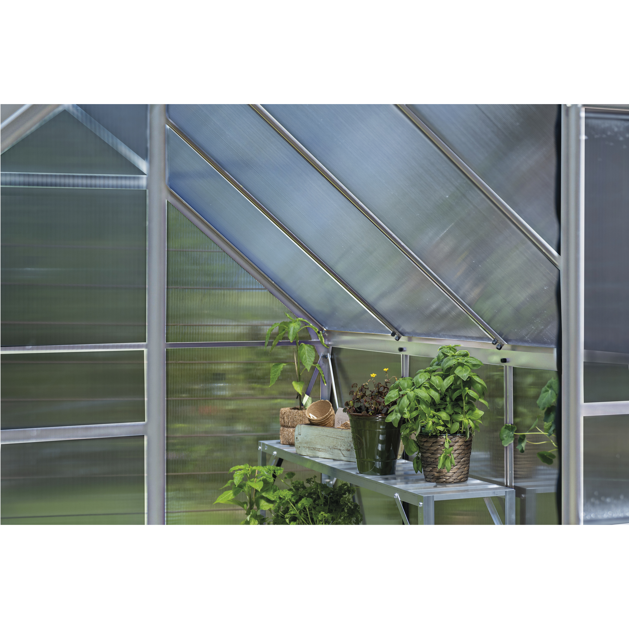Halls Gewächshaus 'ICON 6' 192,5 x 316,9 cm mit 4 mm Doppelstegplatten aluminiumfarben