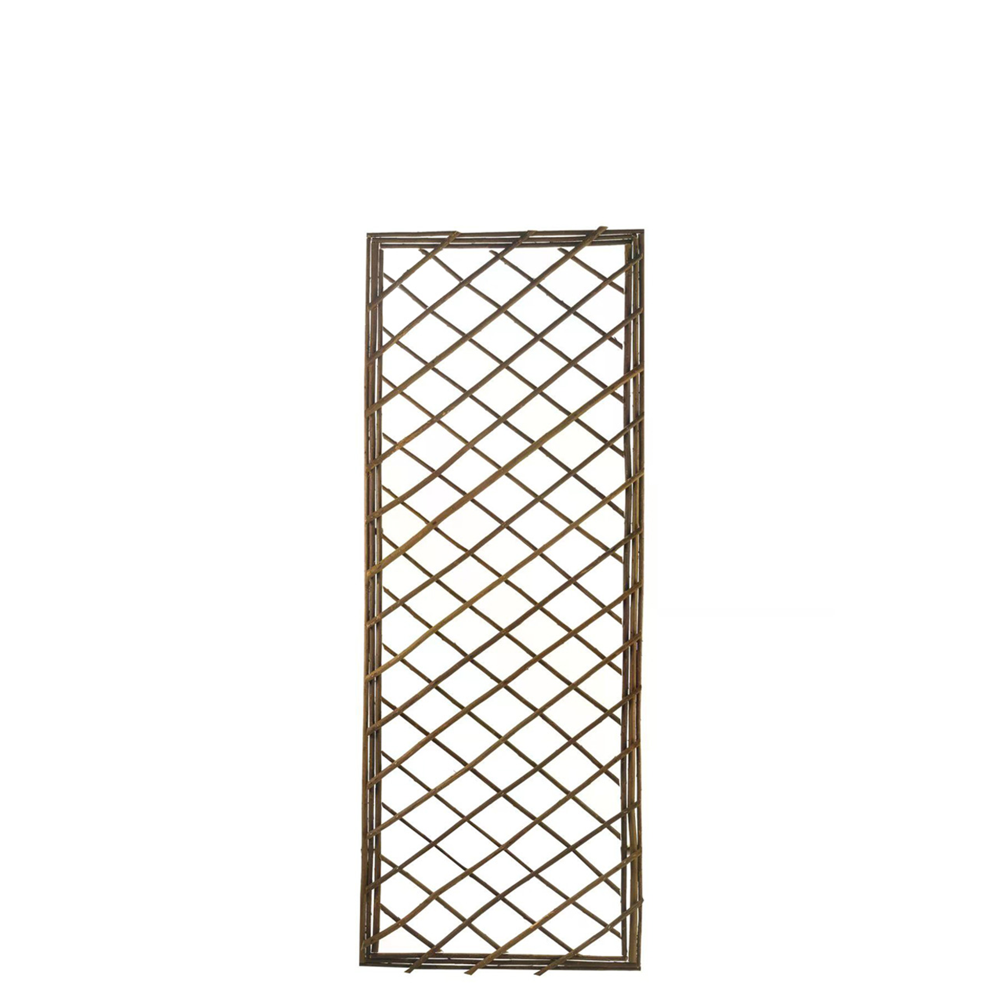 Rankgitter 'Quadriga S' Weide 45 x 120 cm