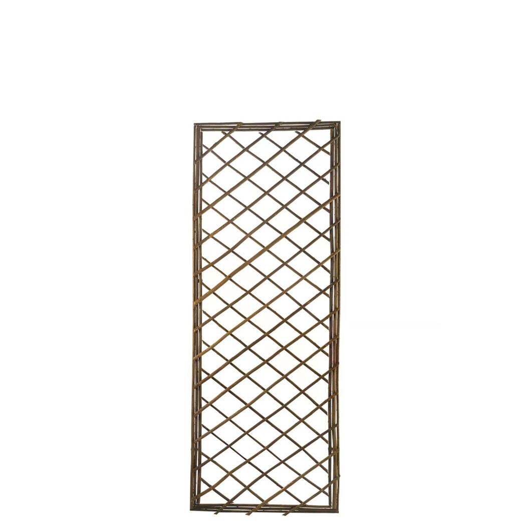 Rankgitter 'Quadriga S' Weide 45 x 120 cm