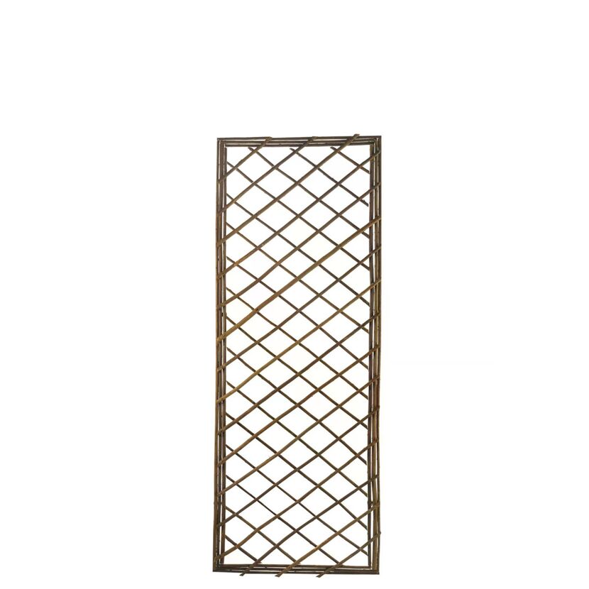 Rankgitter 'Quadriga S' Weide 45 x 120 cm