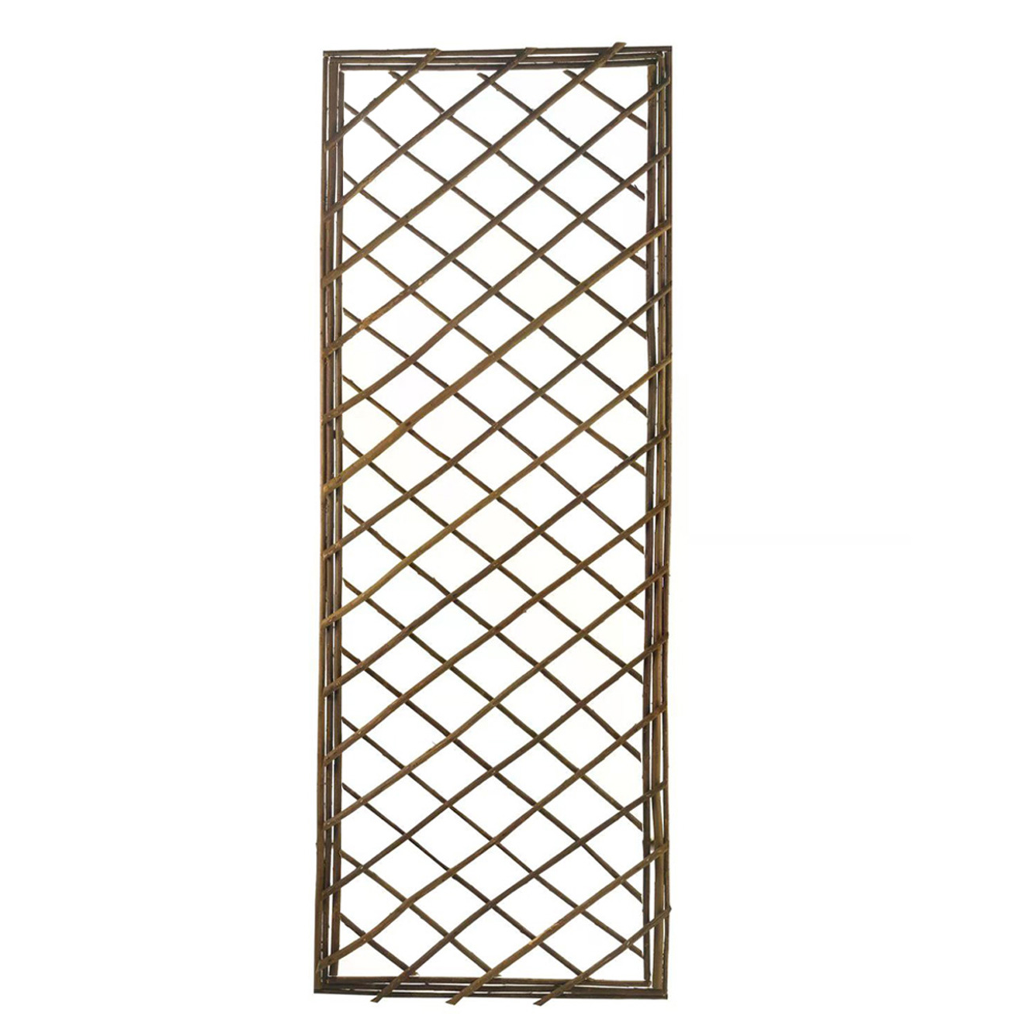 Rankgitter 'Quadriga L' Weide 60 x 180 cm