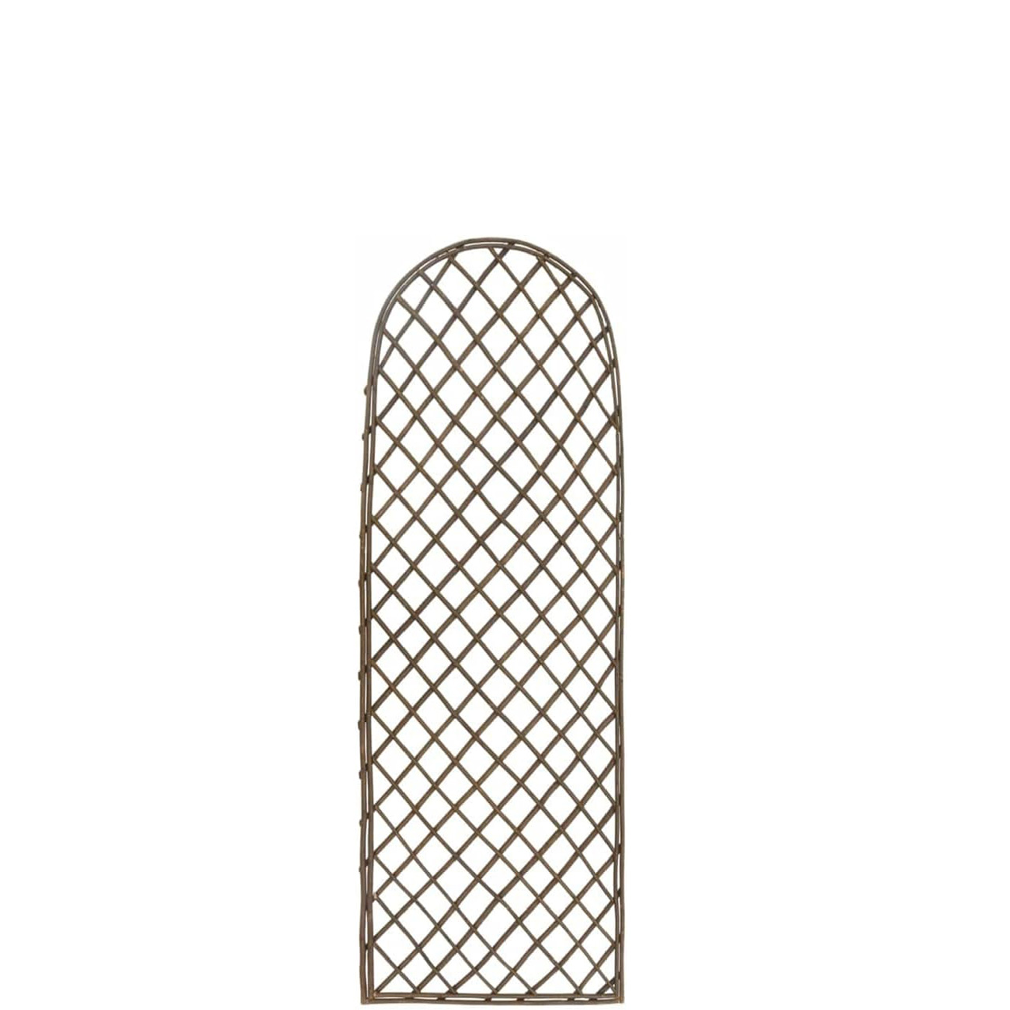 Rankgitter 'Arc S' Weide 45 x 120 cm