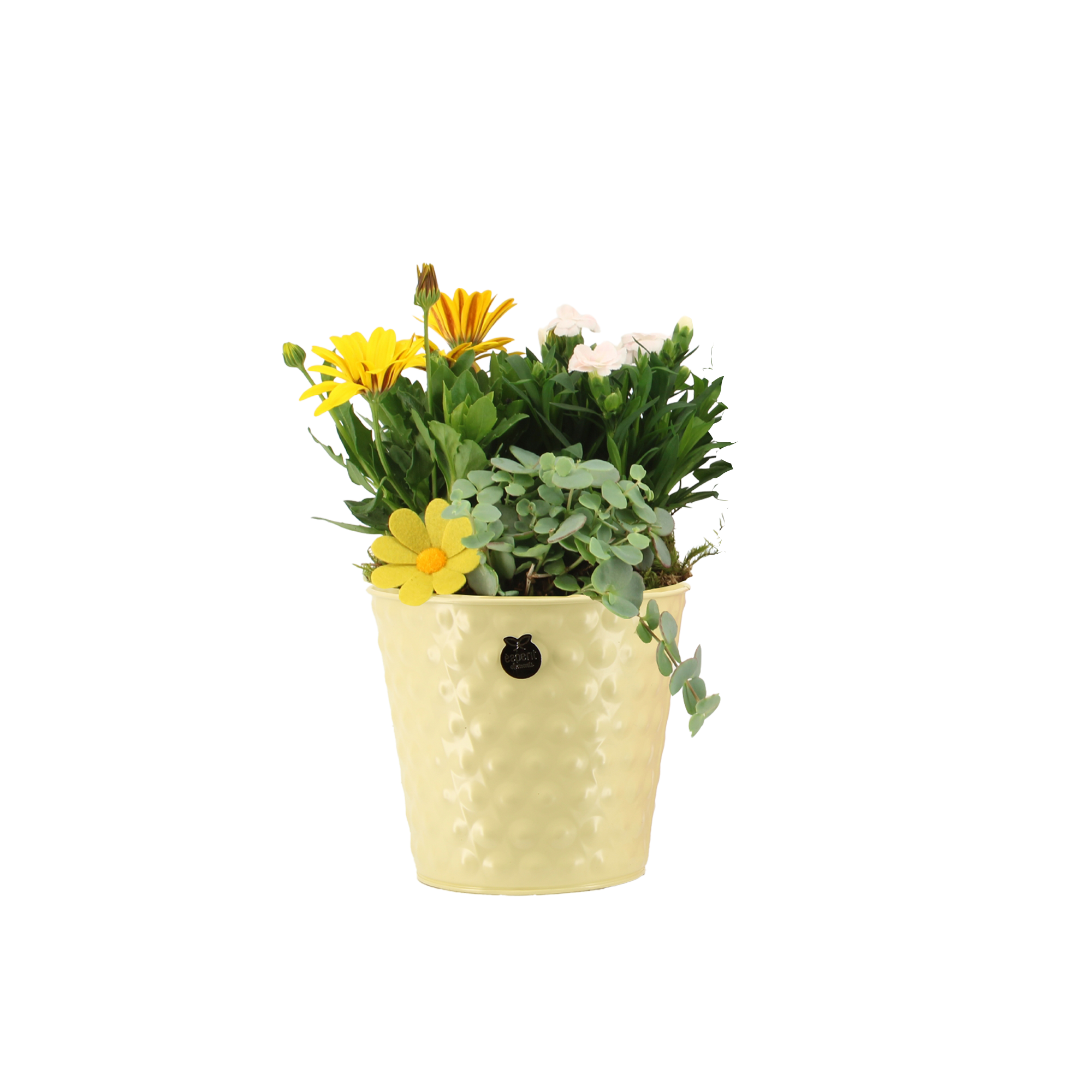 Zinktopf bunt bepflanzt 16 cm