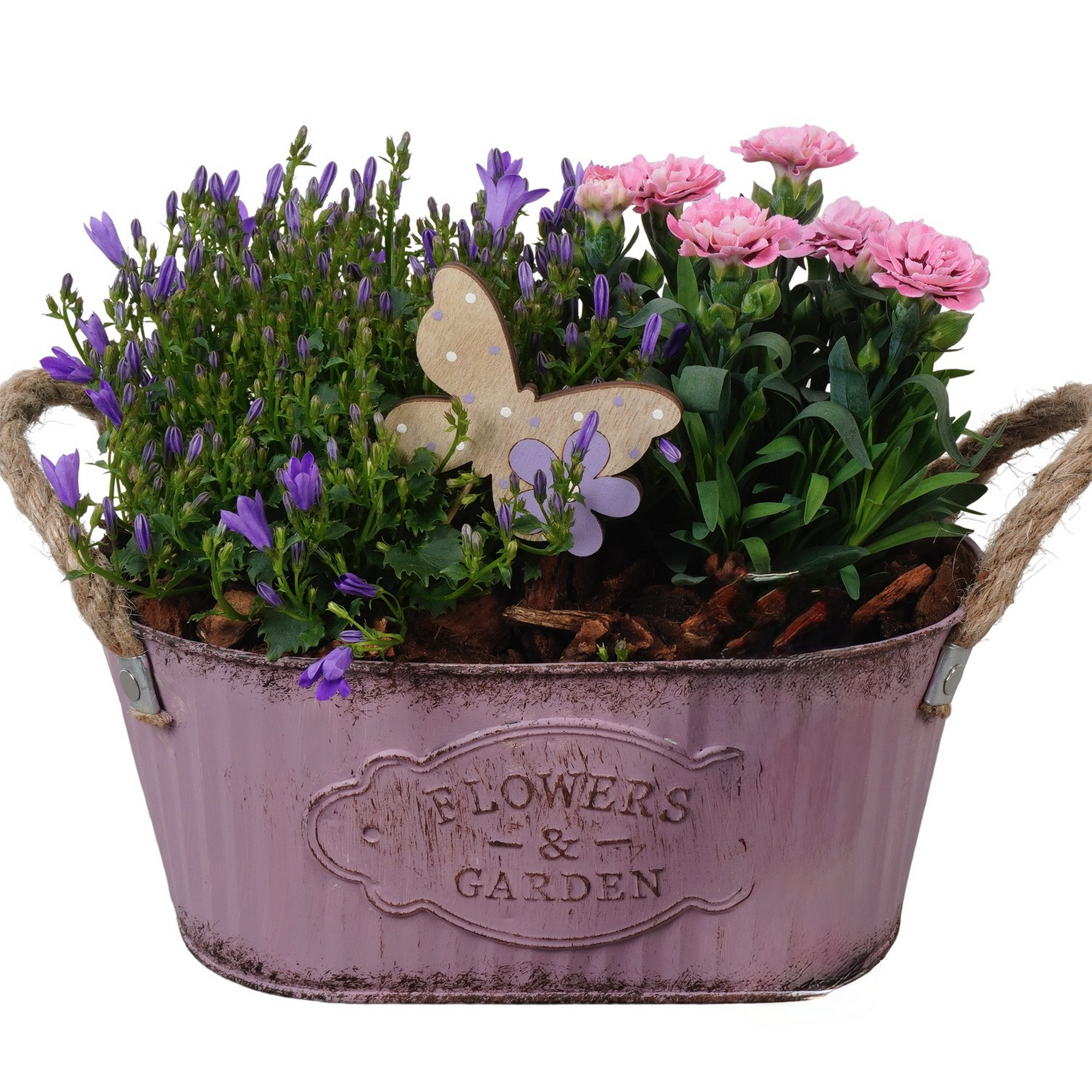 Zink-Gefäß bepflanzt 20 cm