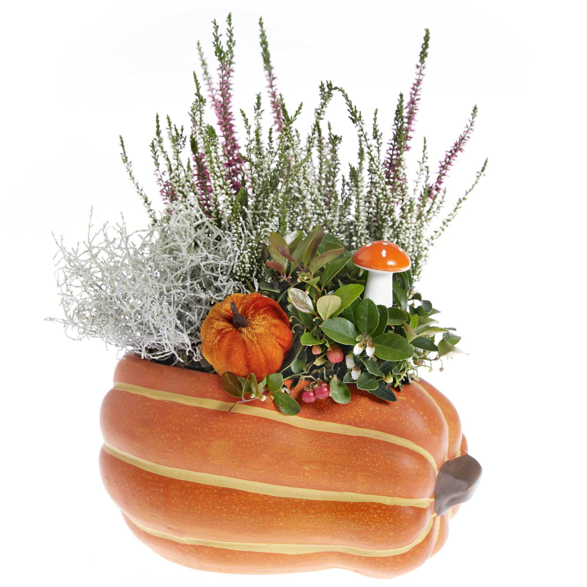 Keramik-Kürbis bepflanzt Outdoor 25 cm Topf