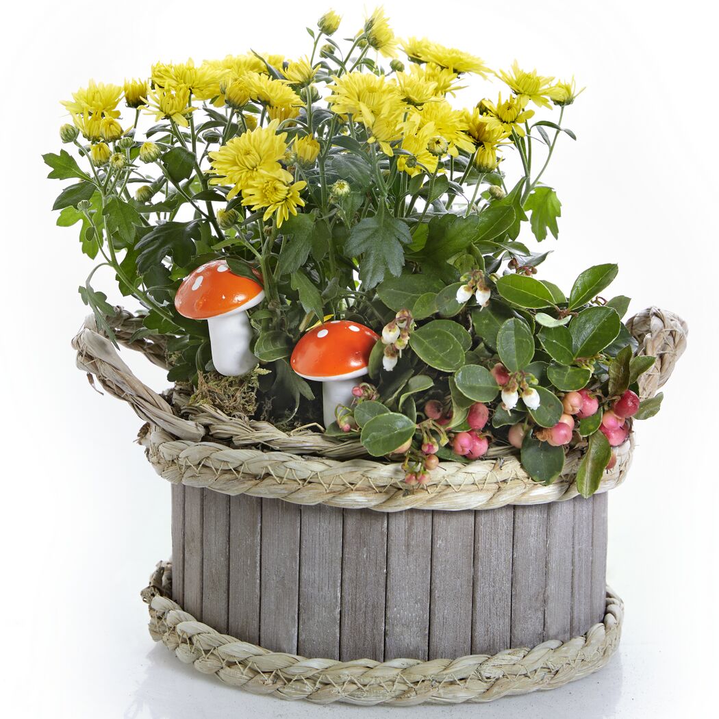 Holzgefäß bepflanzt 19 cm