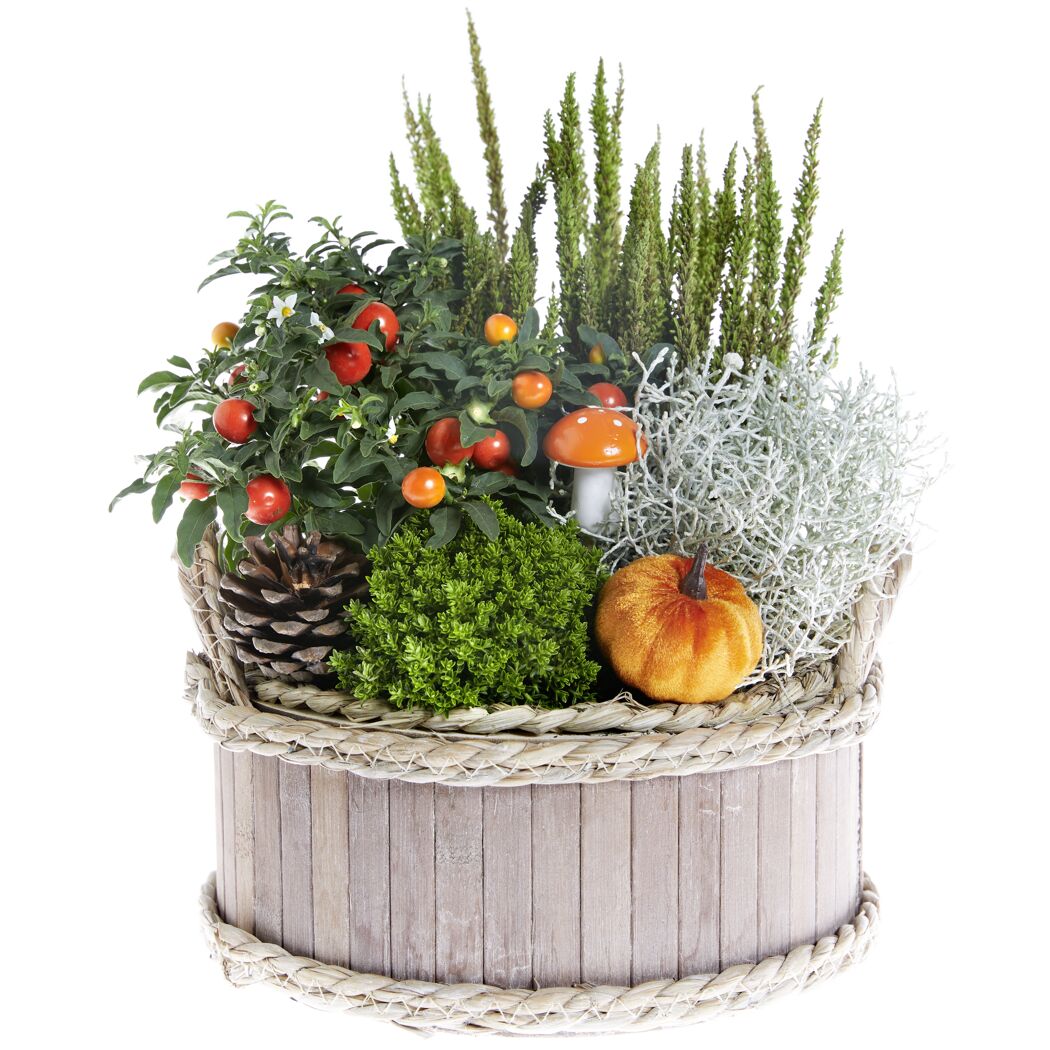 Holzgefäß bepflanzt 24 cm