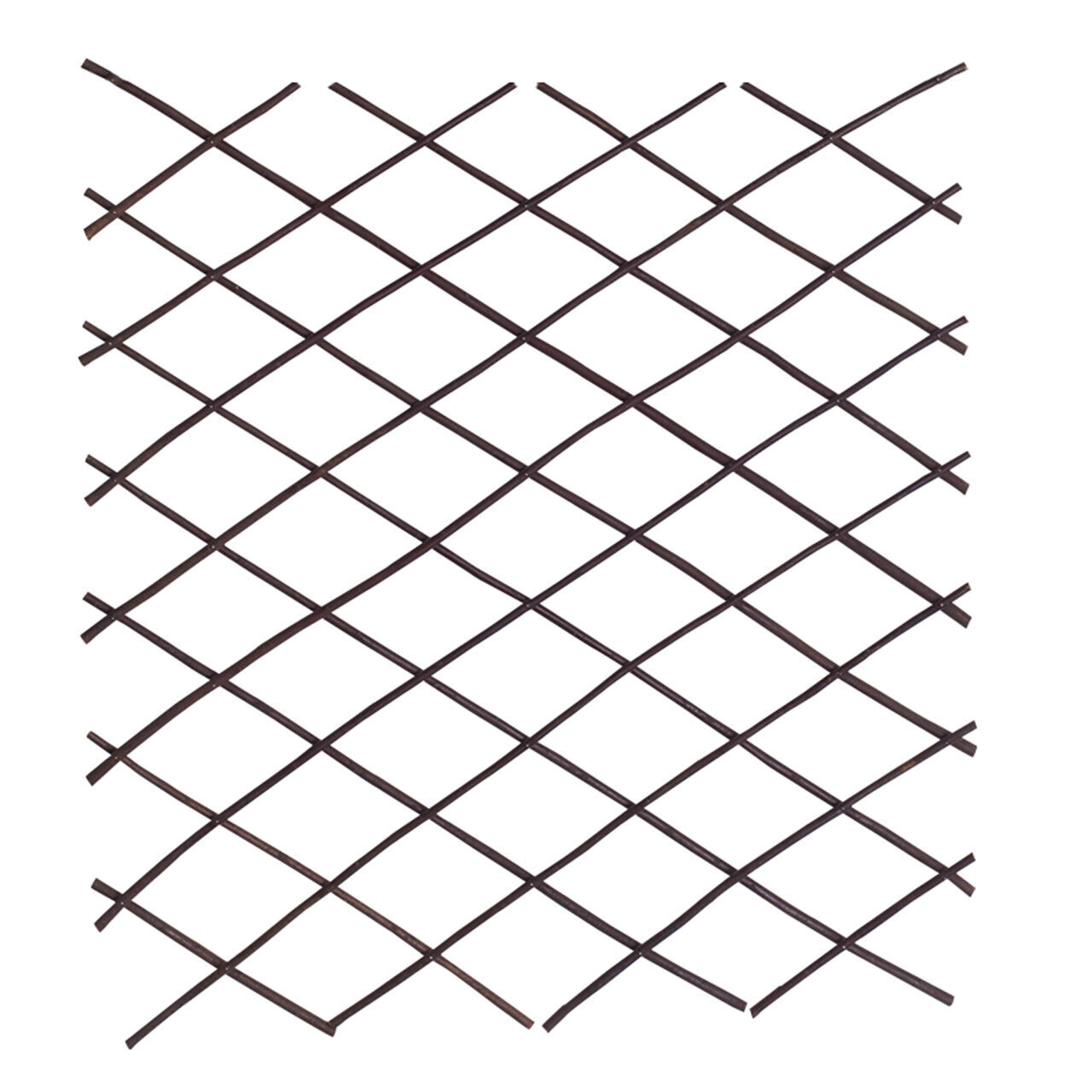 Rankgitter Weide L auziehbar 19 x 120 cm