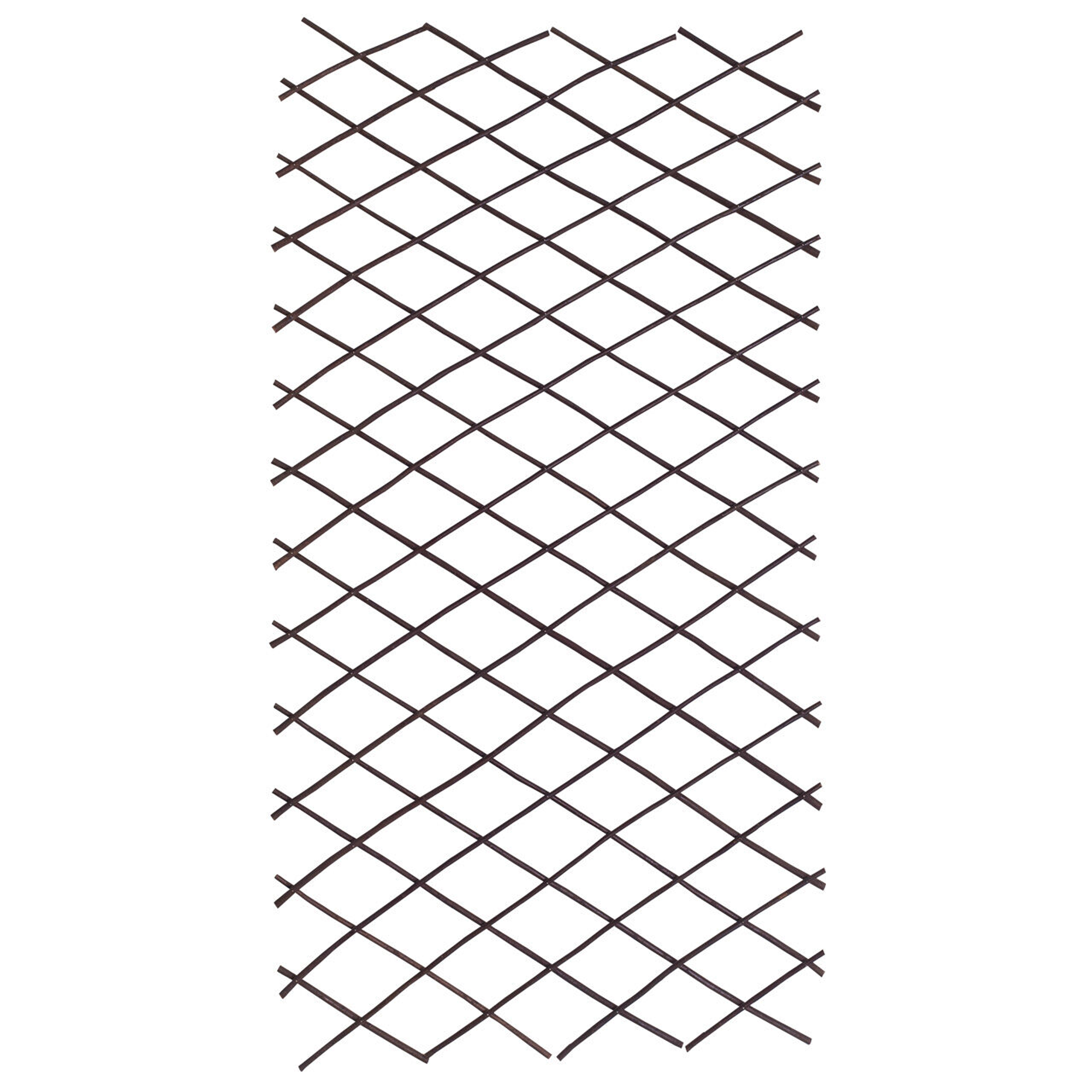 Rankgitter Weide M auziehbar 16 x 166 cm