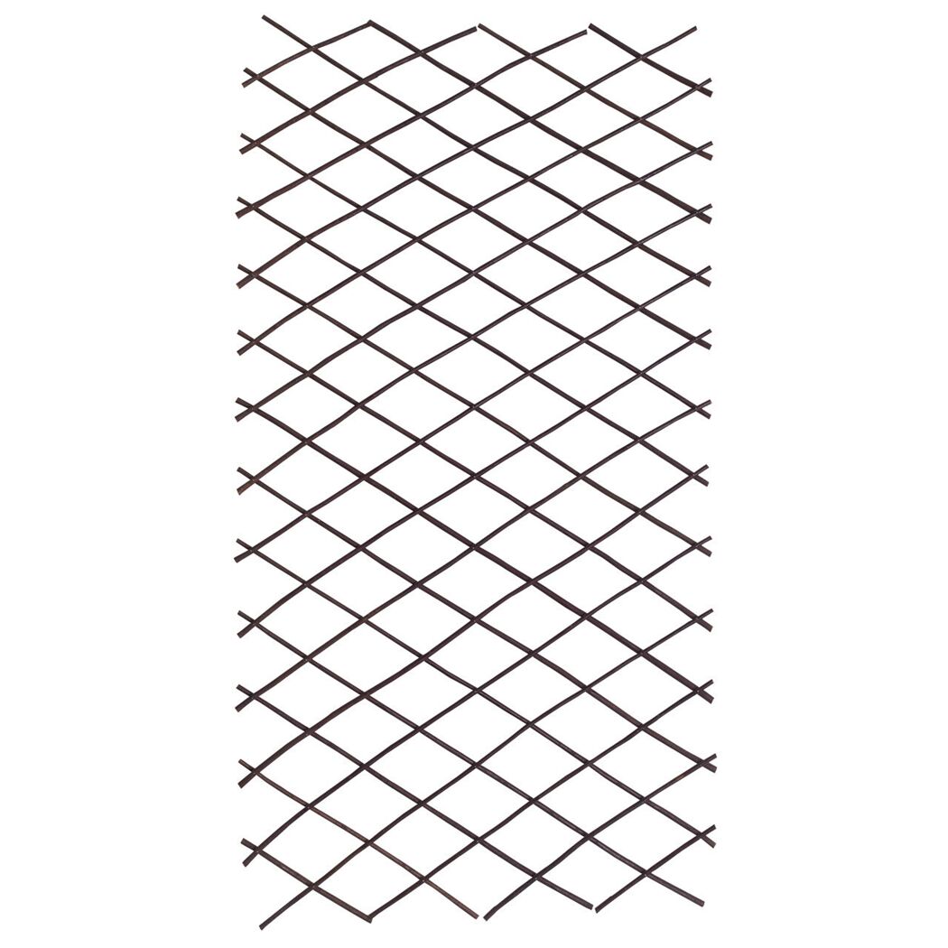 Rankgitter Weide M auziehbar 16 x 166 cm