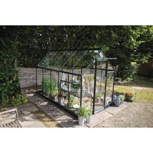 Gewächshaus 'ICON 6' 192,5 x 316,9 cm mit 3 mm Sicherheitsglas grün
