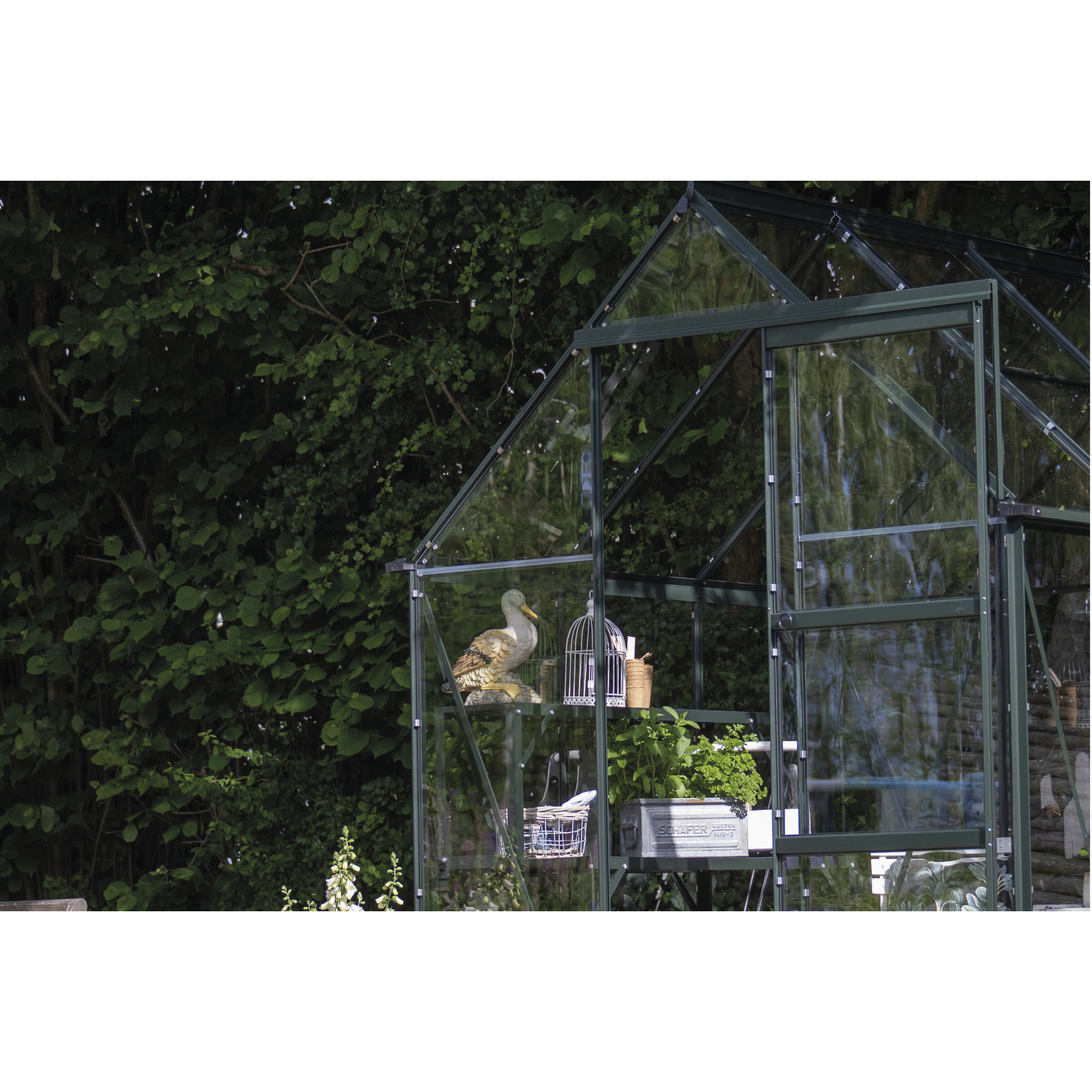 Gewächshaus 'ICON 6' 192,5 x 316,9 cm mit 3 mm Sicherheitsglas grün