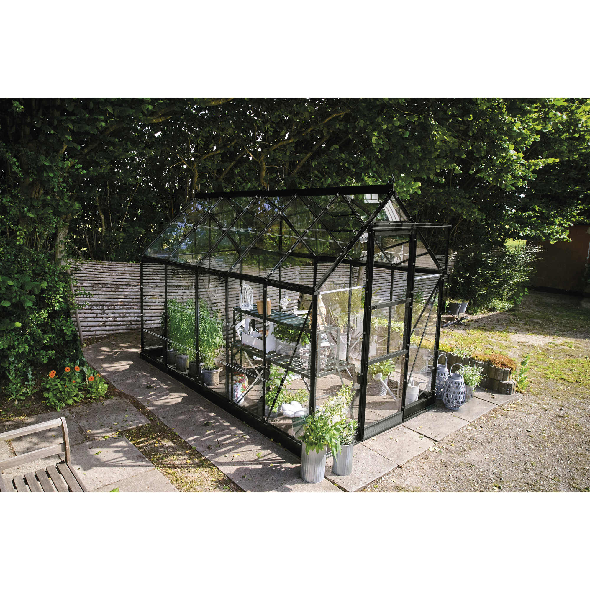 Gewächshaus 'ICON 6' 192,5 x 316,9 cm mit 3 mm Blankglas schwarz