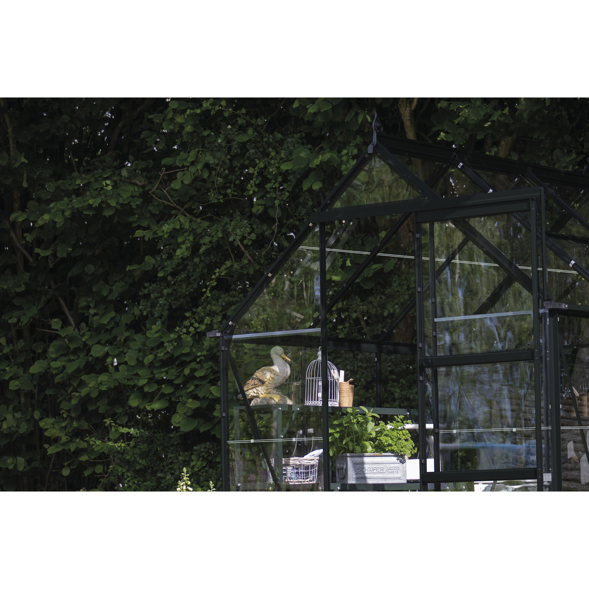 Gewächshaus 'ICON 6' 192,5 x 316,9 cm mit 3 mm Blankglas schwarz