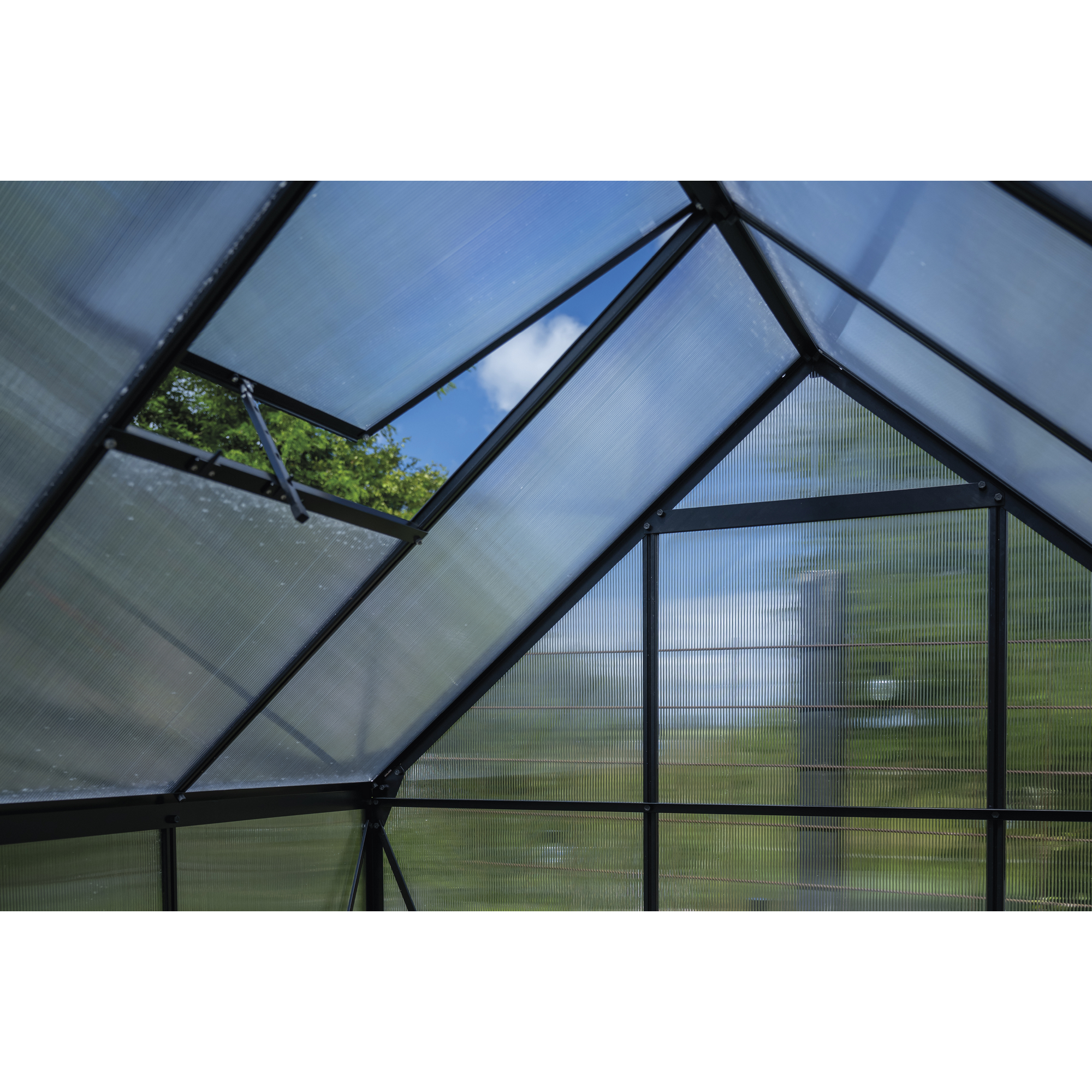 Gewächshaus 'ICON 6' 192,5 x 316,9 cm mit 4 mm Doppelstegplatten schwarz