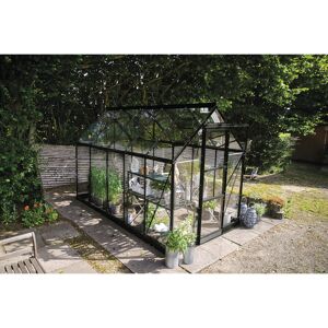 Gewächshaus 'ICON 6' 192,5 x 316,9 cm mit 3 mm Sicherheitsglas schwarz