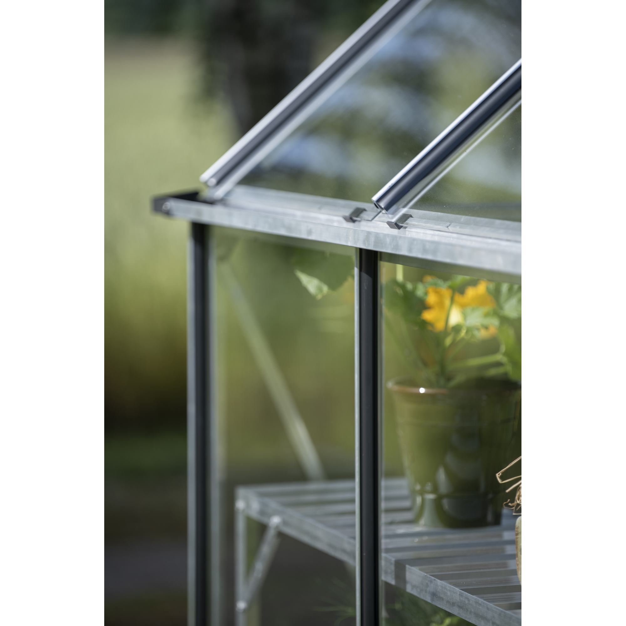 Gewächshaus 'ICON 8' 254,7 x 316,9 cm mit 3 mm Sicherheitsglas aluminiumfarben