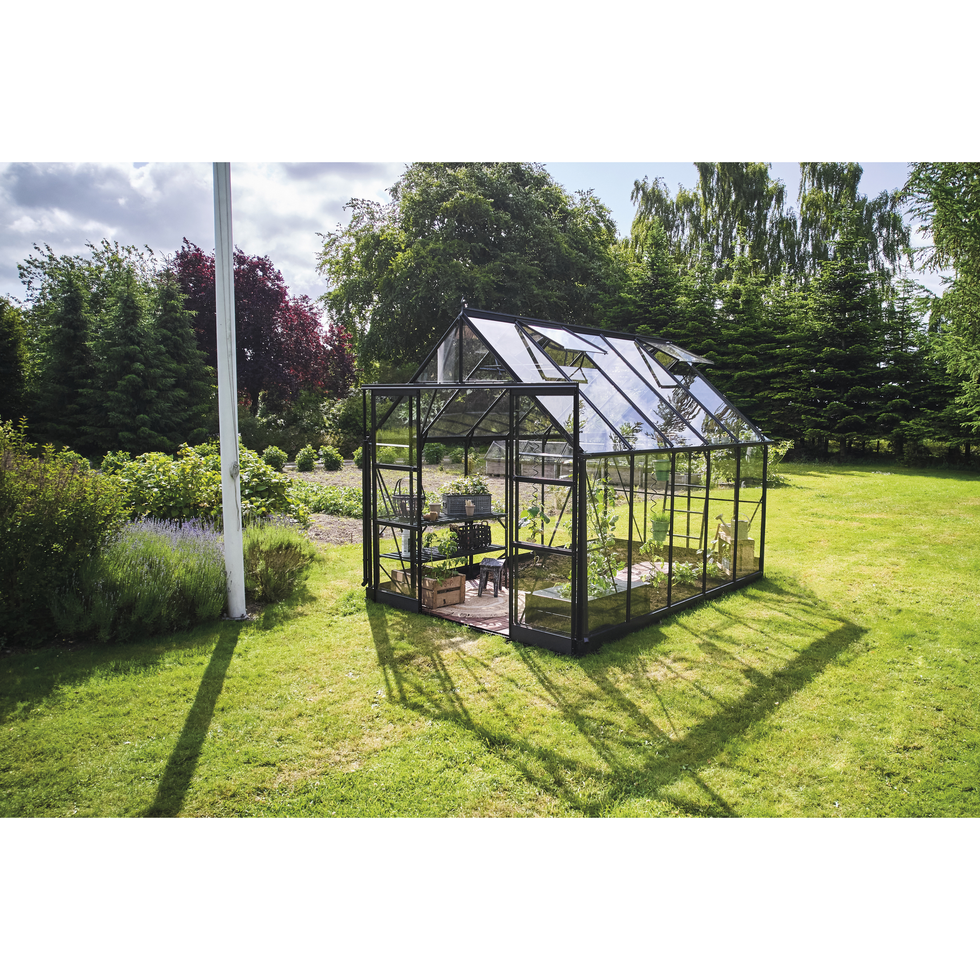 Gewächshaus 'ICON 8' 254,7 x 316,9 cm mit 3 mm Sicherheitsglas schwarz