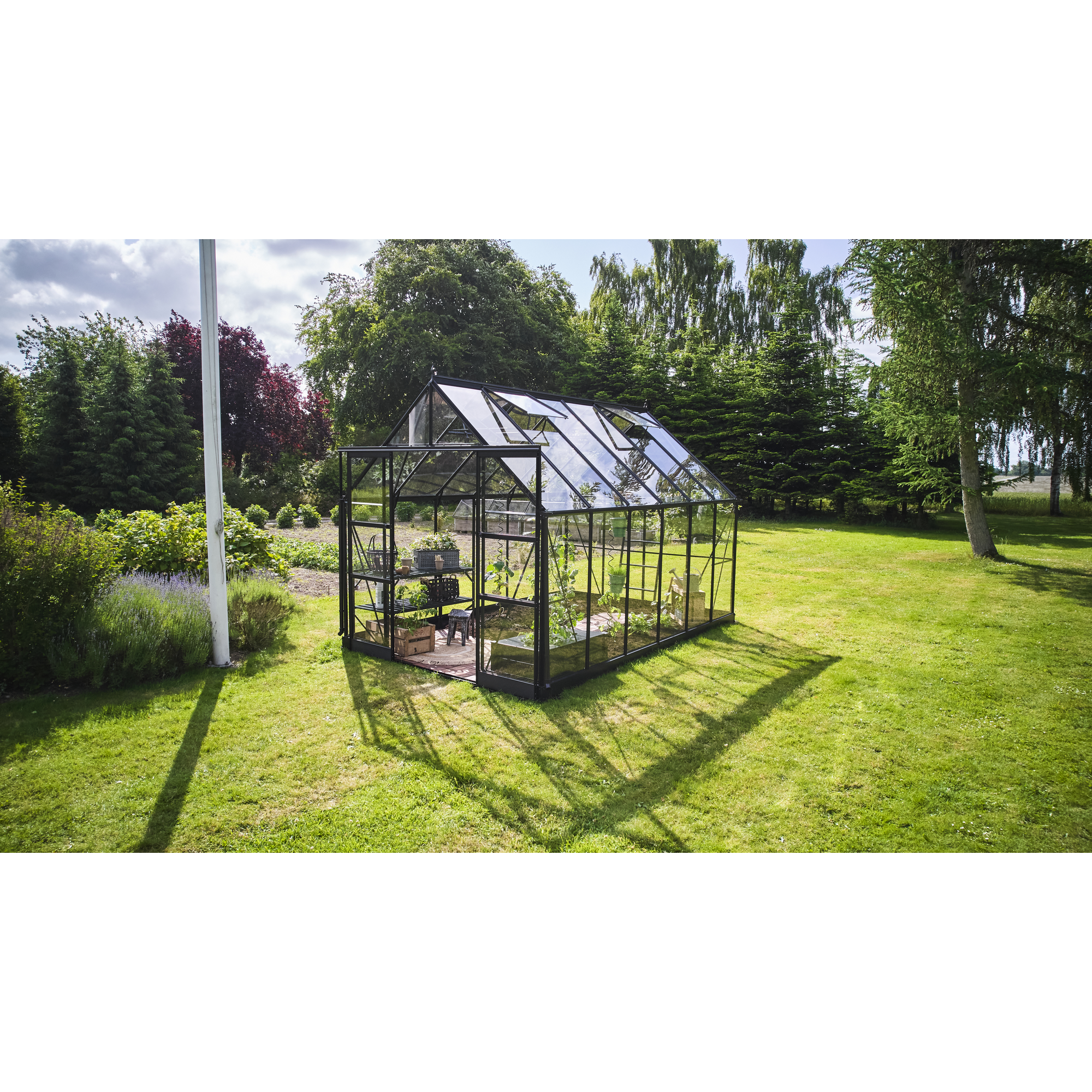 Gewächshaus 'ICON 8' 254,7 x 379,1 cm mit 3 mm Sicherheitsglas schwarz