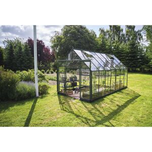 Gewächshaus 'ICON 8' 254,7 x 441,3 cm mit 3 mm Blankglas grün