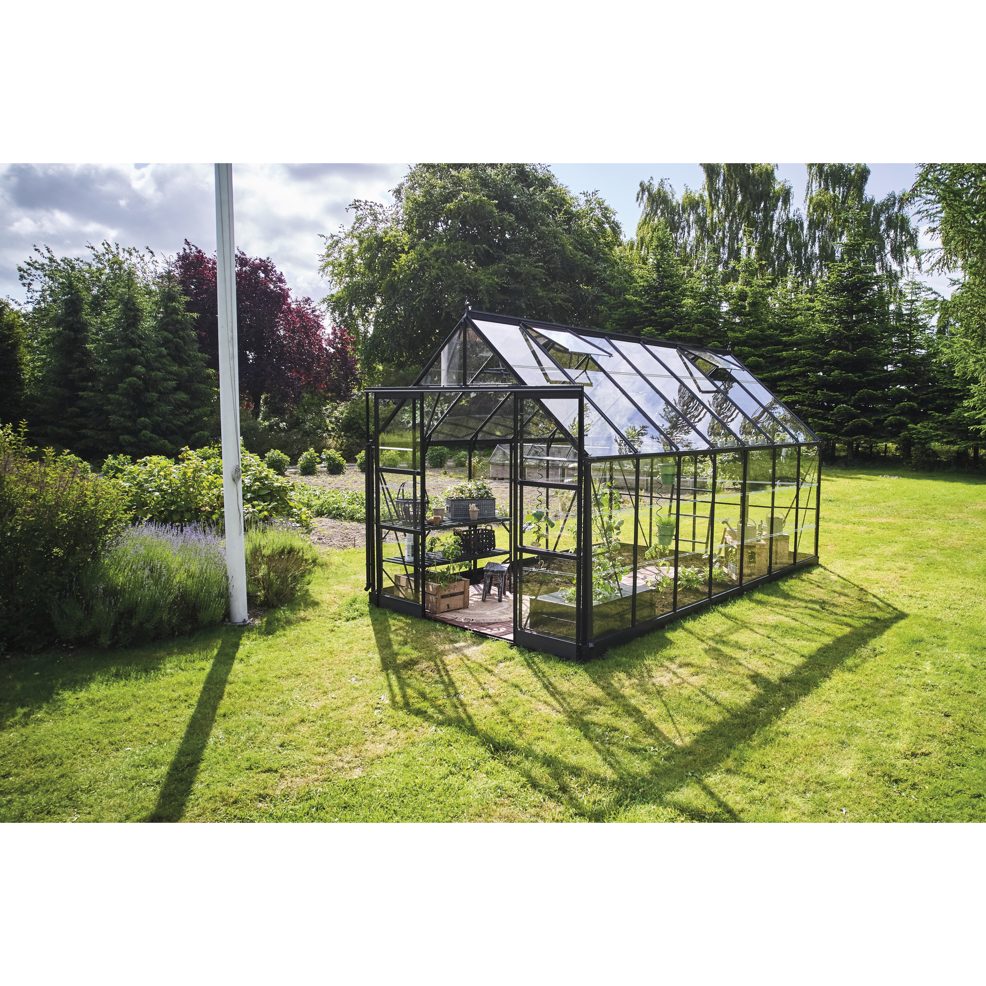 Gewächshaus 'ICON 8' 254,7 x 441,3 cm mit 3 mm Blankglas schwarz