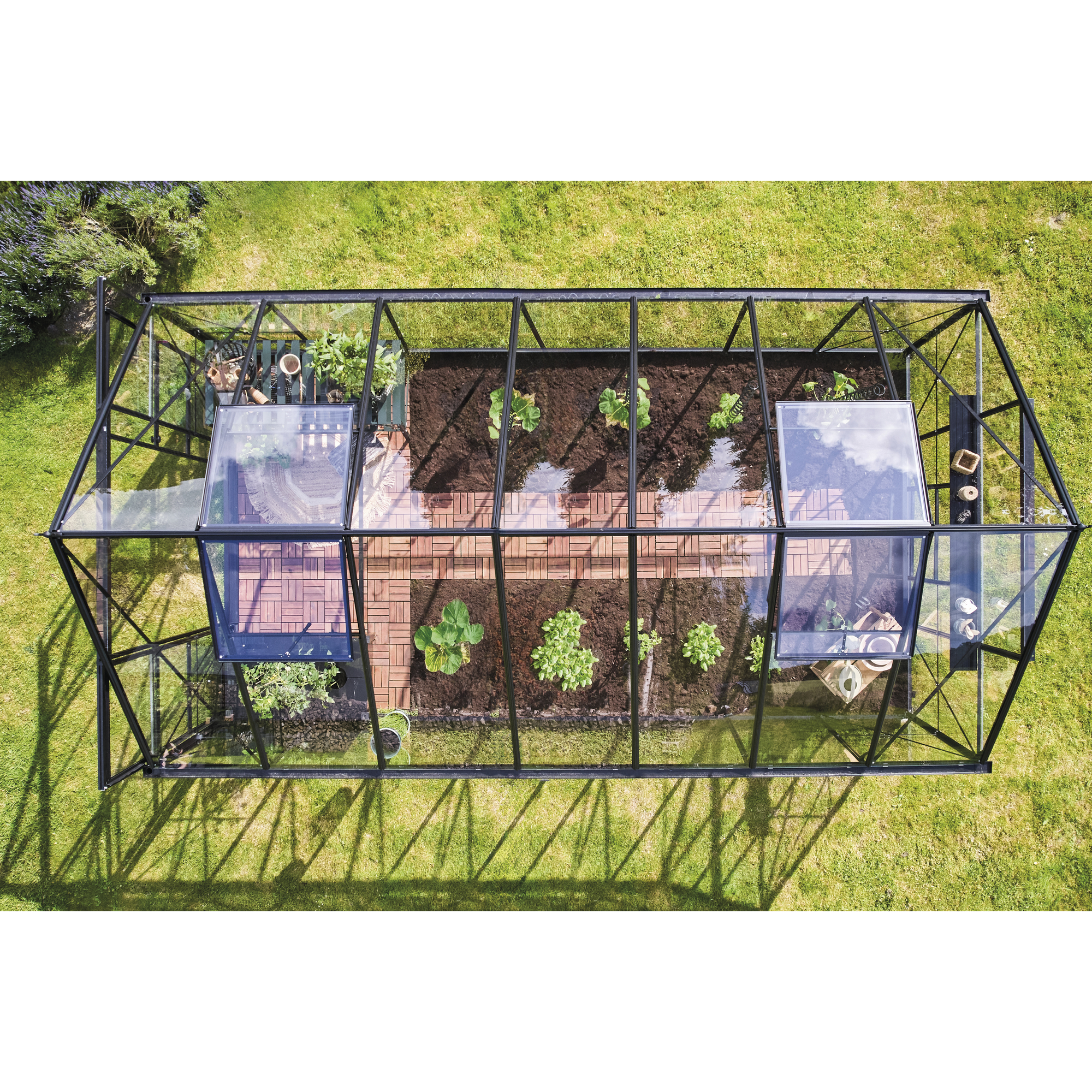 Gewächshaus 'ICON 8' 254,7 x 441,3 cm mit 3 mm Sicherheitsglas schwarz