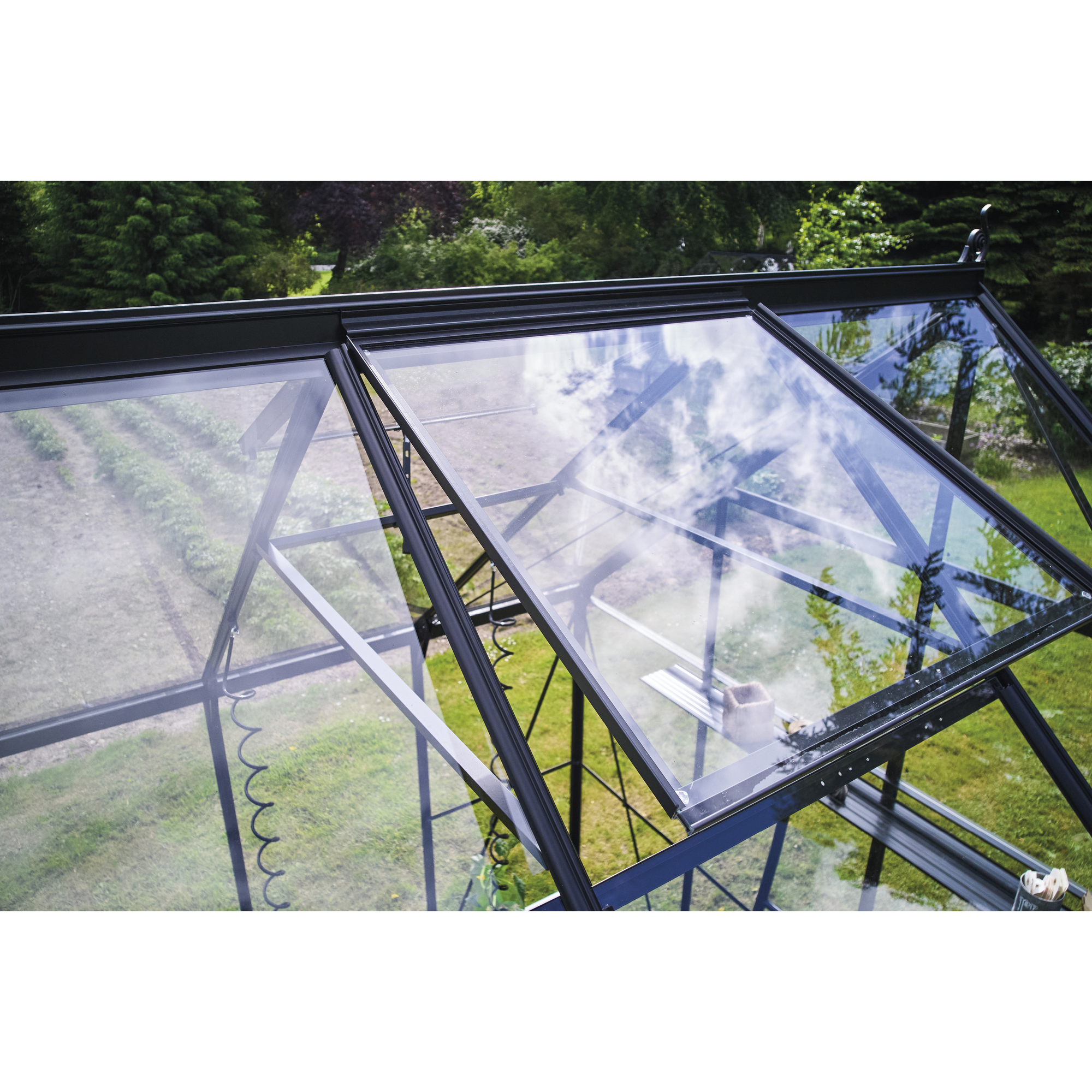 Gewächshaus 'ICON 8' 254,7 x 441,3 cm mit 3 mm Sicherheitsglas schwarz