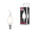 LED-Leuchtmittel E14 2,6 W 250 lm