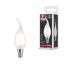 LED-Leuchtmittel E14 4,8 W 470 lm