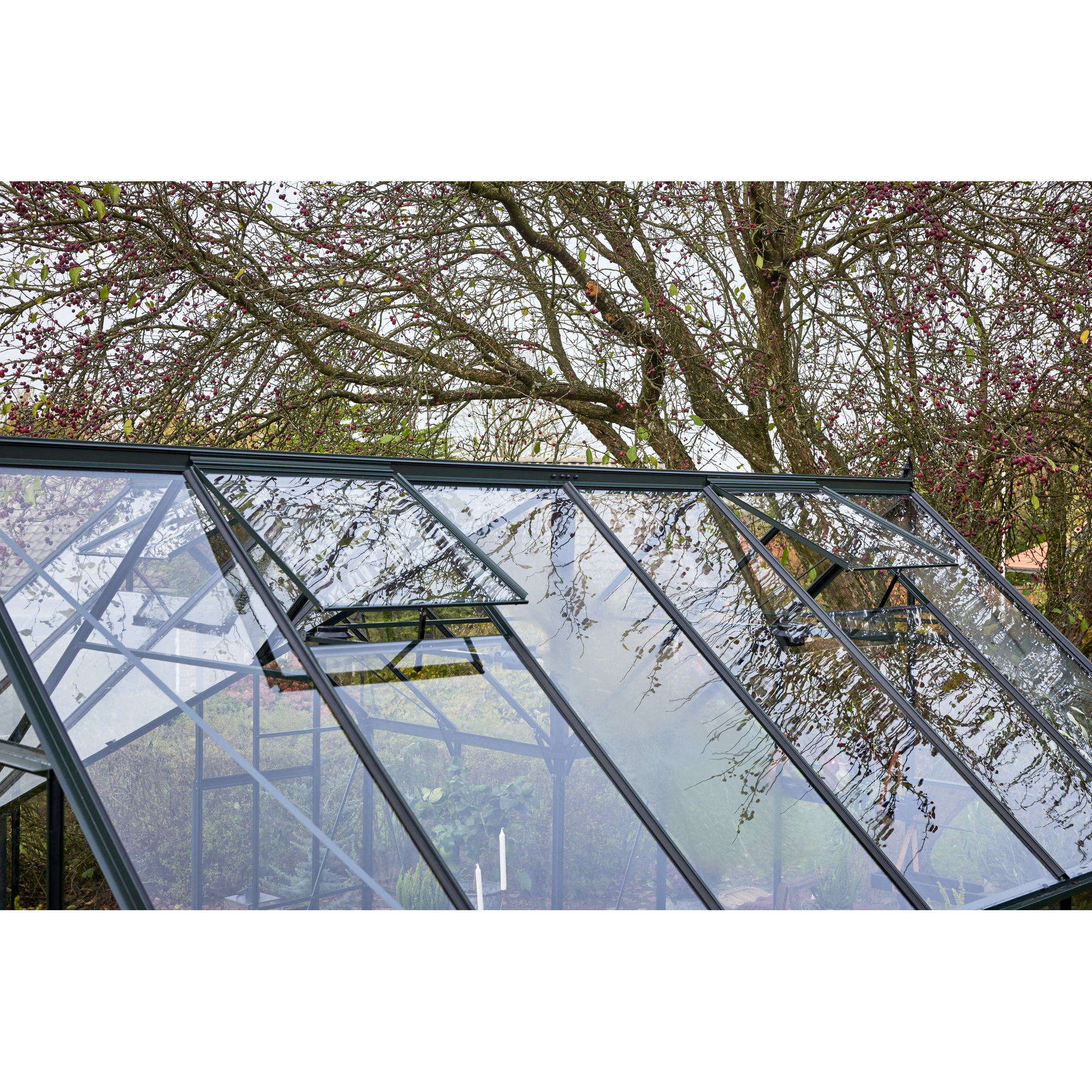 Gewächshaus 'ICON Gardenhouse 8' 383,9 x 381,5 cm mit 3 mm Sicherheitsglas schwarz